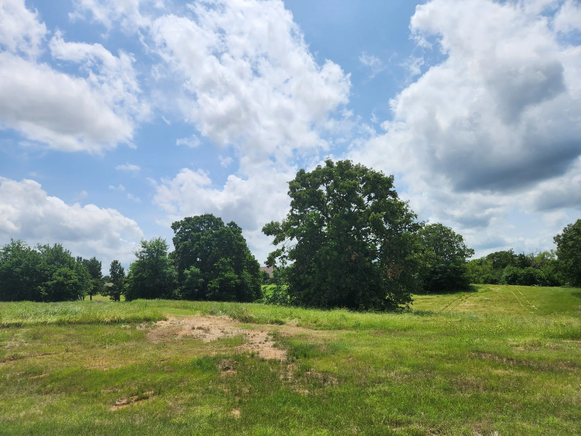 Unimproved Land For Sale in Henderson County , Lot 125 Clear View Court, Athens, Texas 75752, 0, 0, Garage spaces, 0 Sqft, built in 0, mls#21401623, Real Estate Agent in Athens, Homes For Sale in Henderson county, Homes For Sale in Athens, Realtor in Athens Texas, Real Estate Brokerage Independent Realty Texas, Luminita Cordes Realtor