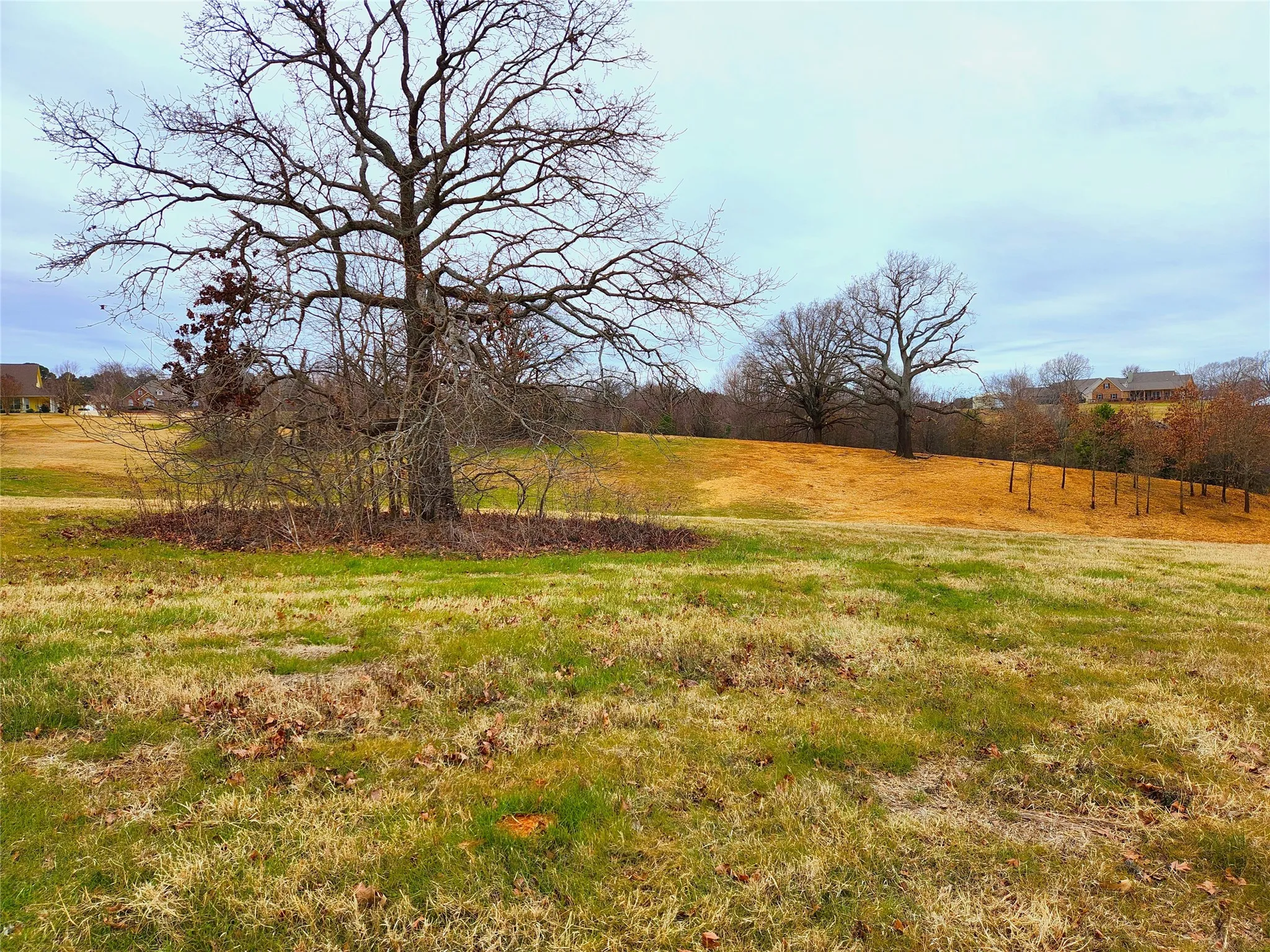Unimproved Land For Sale in Henderson County , Lot 125 Clear View Court, Athens, Texas 75752, 0, 0, Garage spaces, 0 Sqft, built in 0, mls#21401623, Real Estate Agent in Athens, Homes For Sale in Henderson county, Homes For Sale in Athens, Realtor in Athens Texas, Real Estate Brokerage Independent Realty Texas, Luminita Cordes Realtor