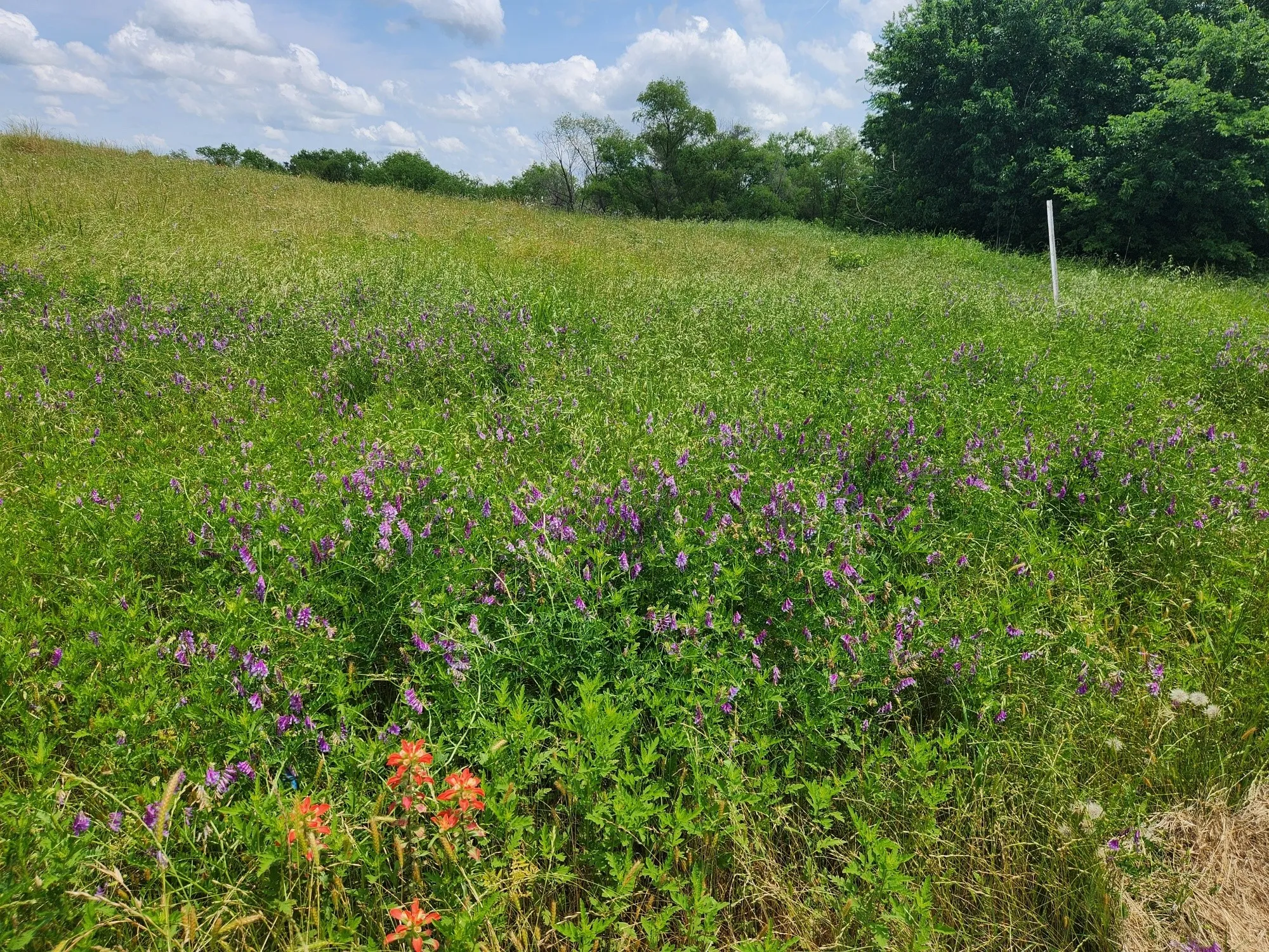 Unimproved Land For Sale in Henderson County , Lot 125 Clear View Court, Athens, Texas 75752, 0, 0, Garage spaces, 0 Sqft, built in 0, mls#21401623, Real Estate Agent in Athens, Homes For Sale in Henderson county, Homes For Sale in Athens, Realtor in Athens Texas, Real Estate Brokerage Independent Realty Texas, Luminita Cordes Realtor