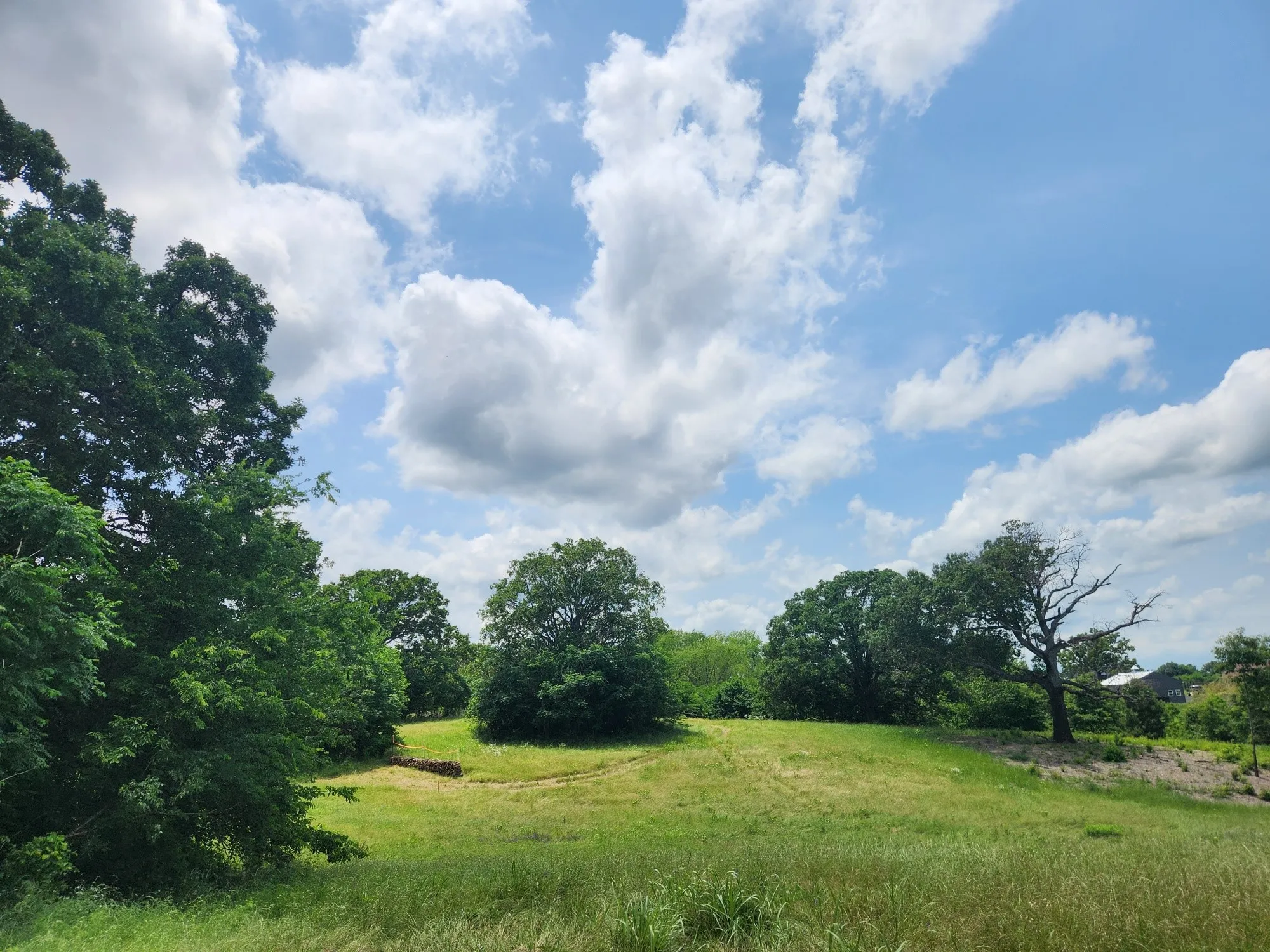Unimproved Land For Sale in Henderson County , Lot 125 Clear View Court, Athens, Texas 75752, 0, 0, Garage spaces, 0 Sqft, built in 0, mls#21401623, Real Estate Agent in Athens, Homes For Sale in Henderson county, Homes For Sale in Athens, Realtor in Athens Texas, Real Estate Brokerage Independent Realty Texas, Luminita Cordes Realtor