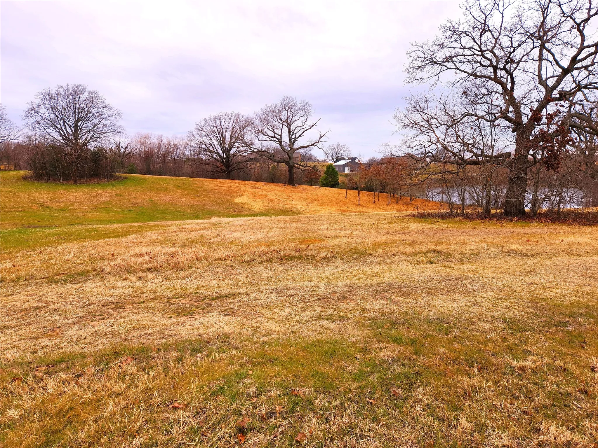 Unimproved Land For Sale in Henderson County , Lot 125 Clear View Court, Athens, Texas 75752, 0, 0, Garage spaces, 0 Sqft, built in 0, mls#21401623, Real Estate Agent in Athens, Homes For Sale in Henderson county, Homes For Sale in Athens, Realtor in Athens Texas, Real Estate Brokerage Independent Realty Texas, Luminita Cordes Realtor