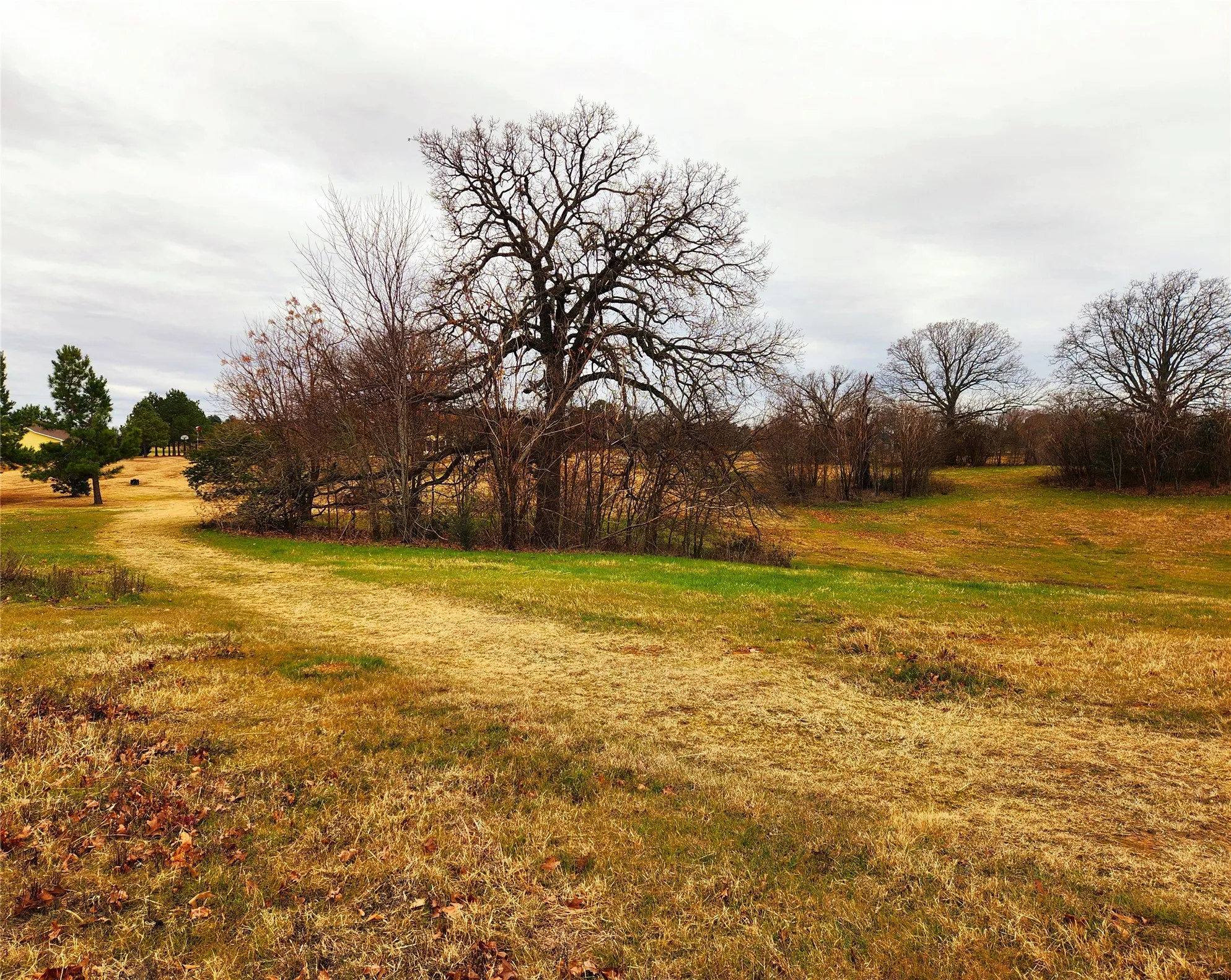 Unimproved Land For Sale in Henderson County , Lot 125 Clear View Court, Athens, Texas 75752, 0, 0, Garage spaces, 0 Sqft, built in 0, mls#21401623, Real Estate Agent in Athens, Homes For Sale in Henderson county, Homes For Sale in Athens, Realtor in Athens Texas, Real Estate Brokerage Independent Realty Texas, Luminita Cordes Realtor