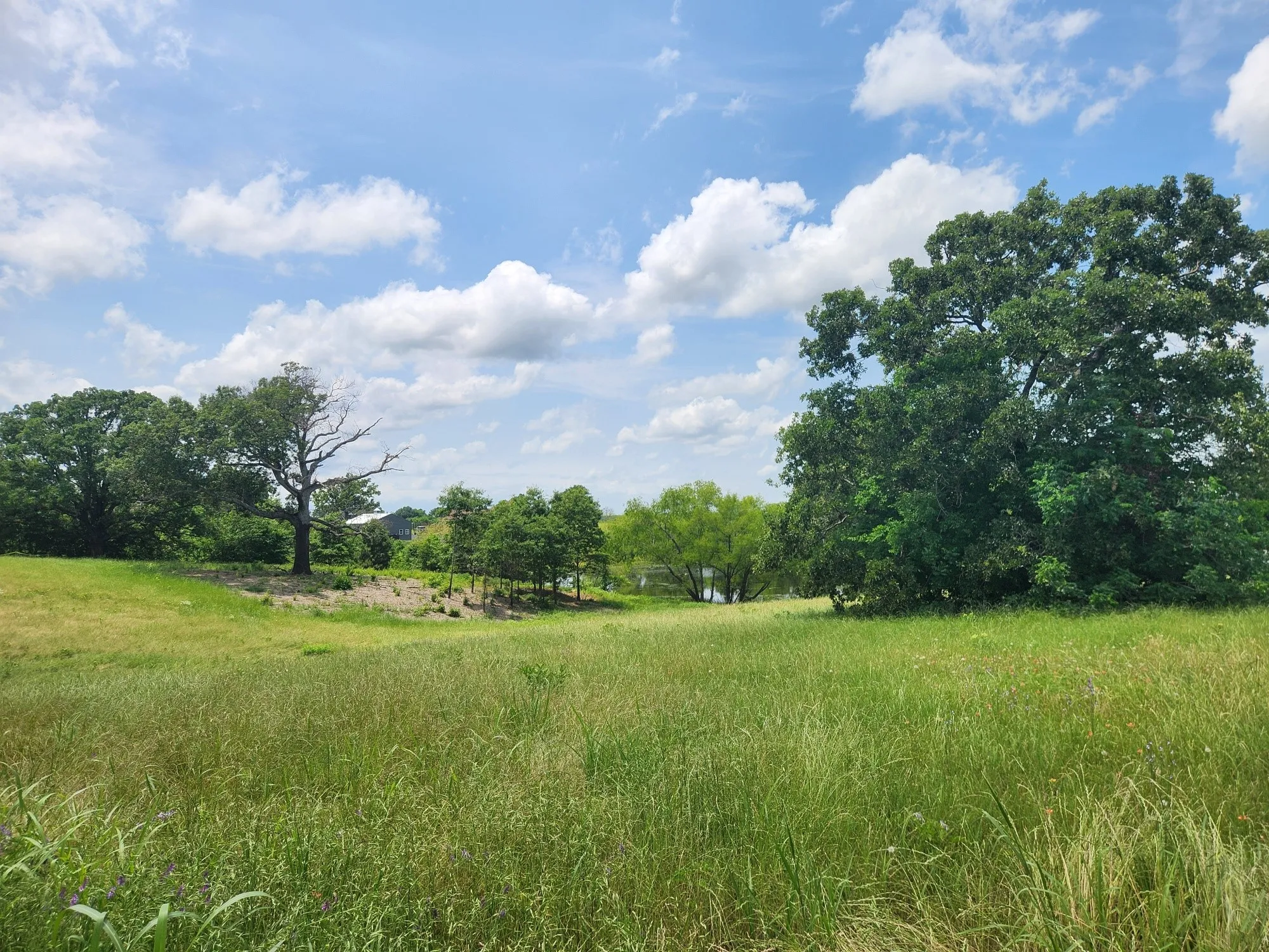 Unimproved Land For Sale in Henderson County , Lot 125 Clear View Court, Athens, Texas 75752, 0, 0, Garage spaces, 0 Sqft, built in 0, mls#21401623, Real Estate Agent in Athens, Homes For Sale in Henderson county, Homes For Sale in Athens, Realtor in Athens Texas, Real Estate Brokerage Independent Realty Texas, Luminita Cordes Realtor