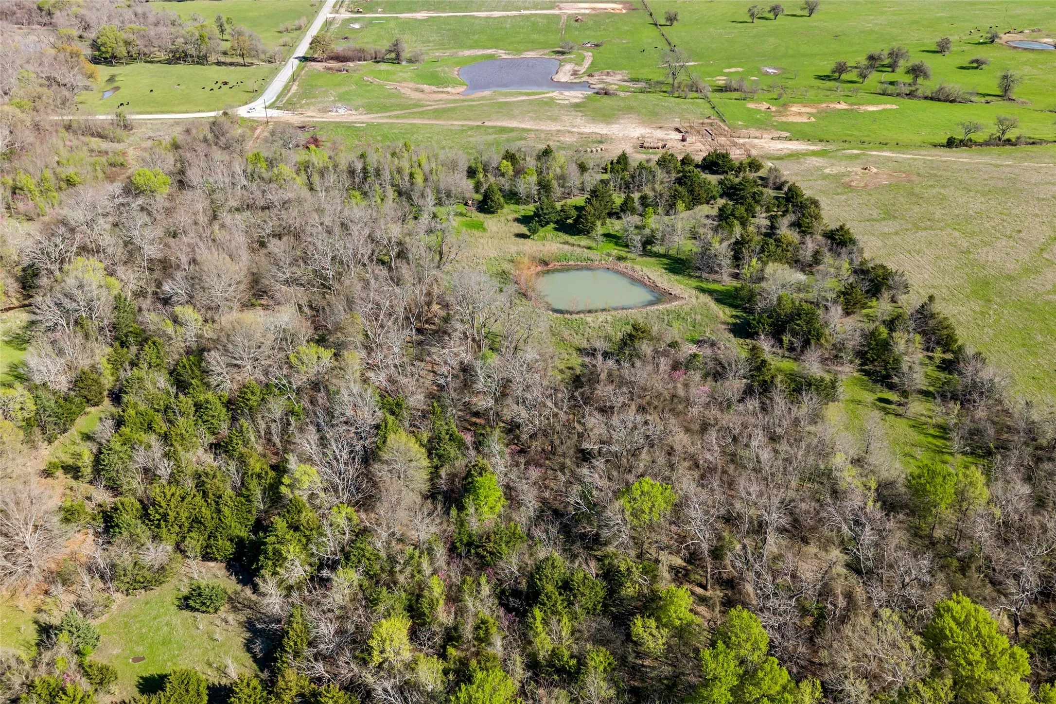 Unimproved Land For Sale in Hunt County , Off County Road 4115, Cumby, Texas 75433, 0, 0, Garage spaces, 0 Sqft, built in 0, mls#21400772, Real Estate Agent in Cumby, Homes For Sale in Hunt county, Homes For Sale in Cumby, Realtor in Cumby Texas, Real Estate Brokerage Independent Realty Texas, Luminita Cordes Realtor