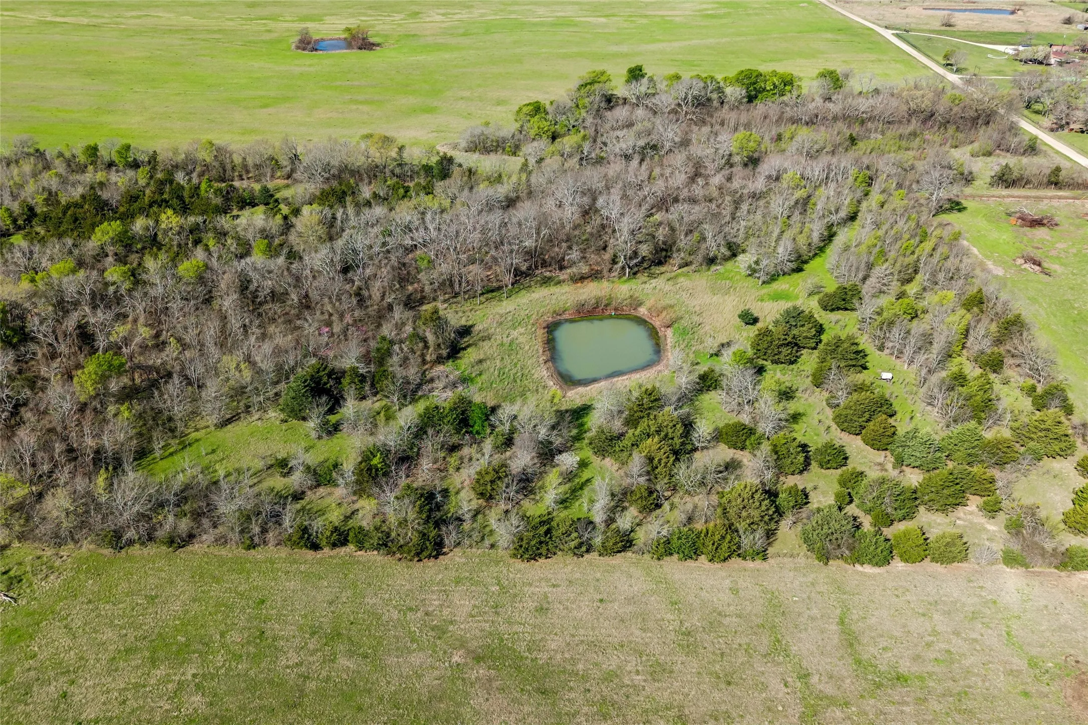 Unimproved Land For Sale in Hunt County , Off County Road 4115, Cumby, Texas 75433, 0, 0, Garage spaces, 0 Sqft, built in 0, mls#21400772, Real Estate Agent in Cumby, Homes For Sale in Hunt county, Homes For Sale in Cumby, Realtor in Cumby Texas, Real Estate Brokerage Independent Realty Texas, Luminita Cordes Realtor
