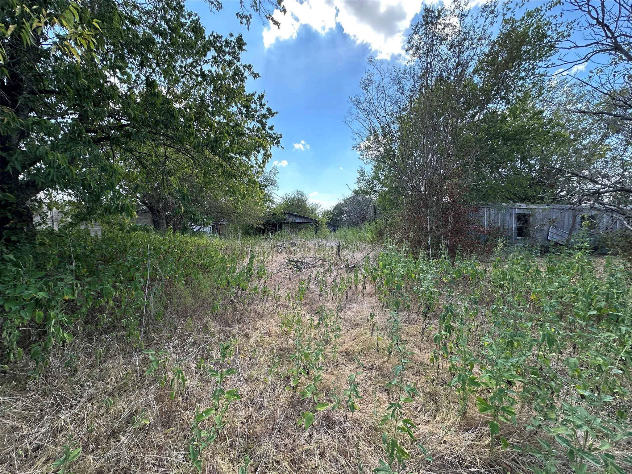 Improved Land For Sale in Kaufman County , 1194 County Road 151a, Kaufman, Texas 75142, 0, 0, Garage spaces, 0 Sqft, built in 1986, mls#21402796, Real Estate Agent in Kaufman, Homes For Sale in Kaufman county, Homes For Sale in Kaufman, Realtor in Kaufman Texas, Real Estate Brokerage Independent Realty Texas, Luminita Cordes Realtor
