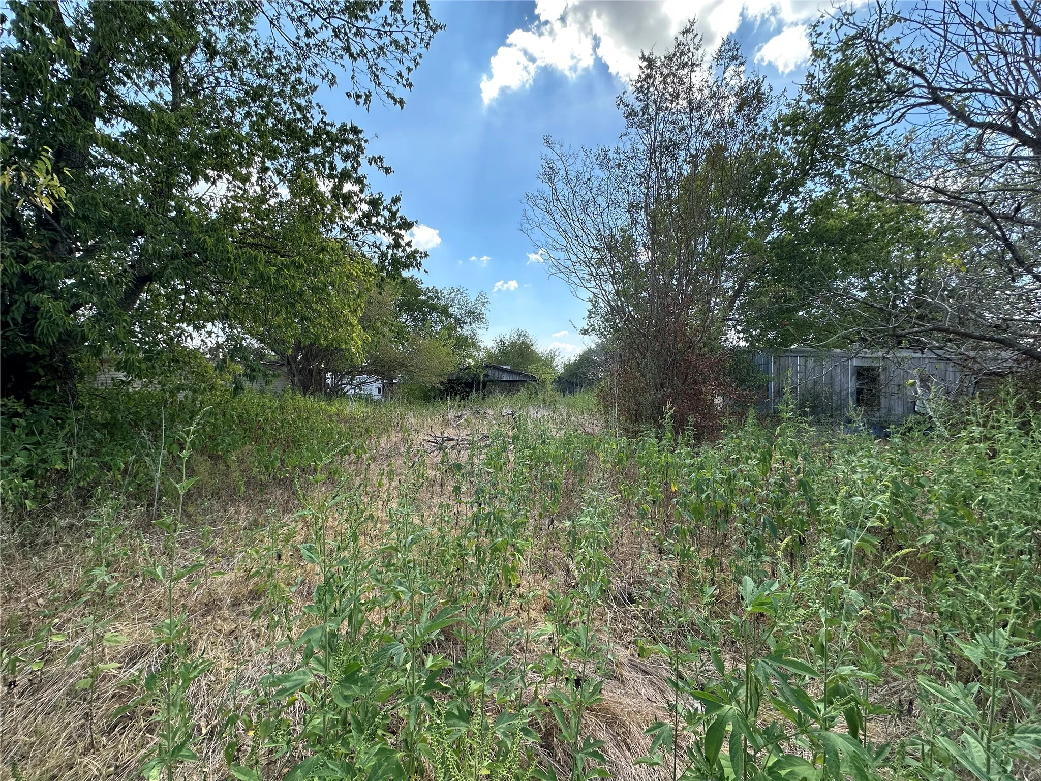 Improved Land For Sale in Kaufman County , 1194 County Road 151a, Kaufman, Texas 75142, 0, 0, Garage spaces, 0 Sqft, built in 1986, mls#21402796, Real Estate Agent in Kaufman, Homes For Sale in Kaufman county, Homes For Sale in Kaufman, Realtor in Kaufman Texas, Real Estate Brokerage Independent Realty Texas, Luminita Cordes Realtor