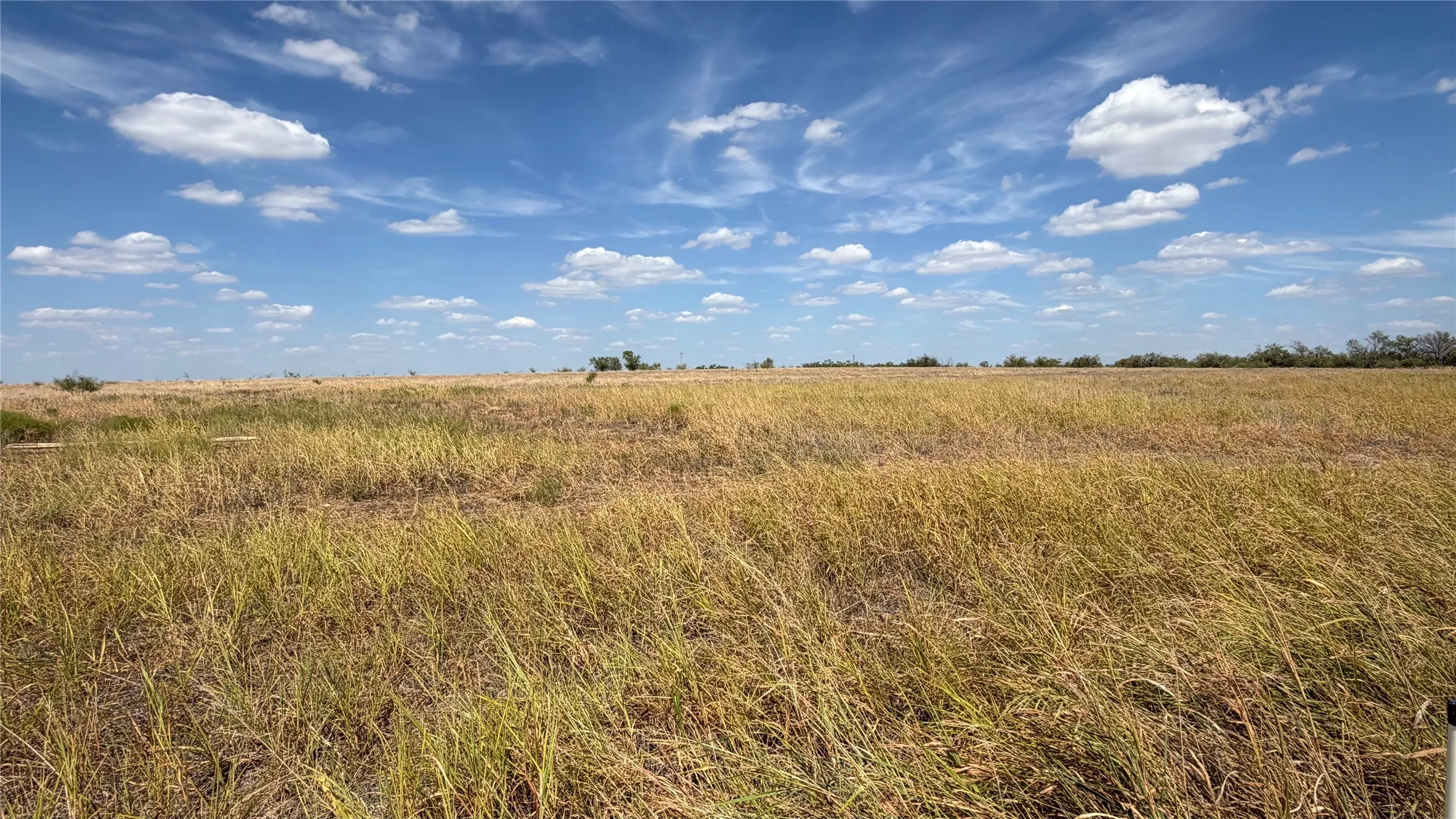 Improved Land For Sale in Shackelford County , 240 CR 150, Abilene, Texas 79601, 0, 0, Garage spaces, 0 Sqft, built in 0, mls#21396026, Real Estate Agent in Abilene, Homes For Sale in Shackelford county, Homes For Sale in Abilene, Realtor in Abilene Texas, Real Estate Brokerage Independent Realty Texas, Luminita Cordes Realtor