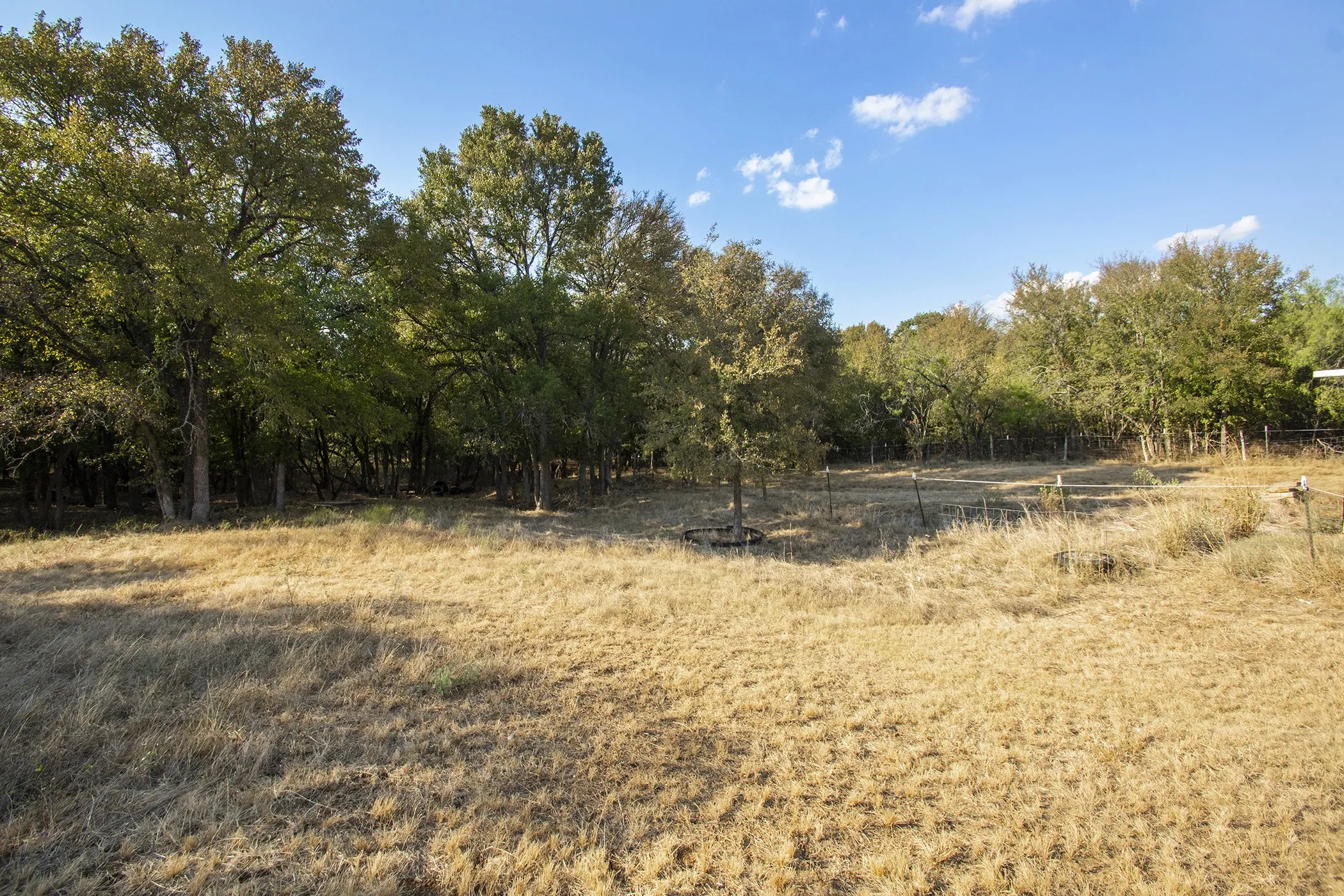 Expansive open field bordered by mature trees