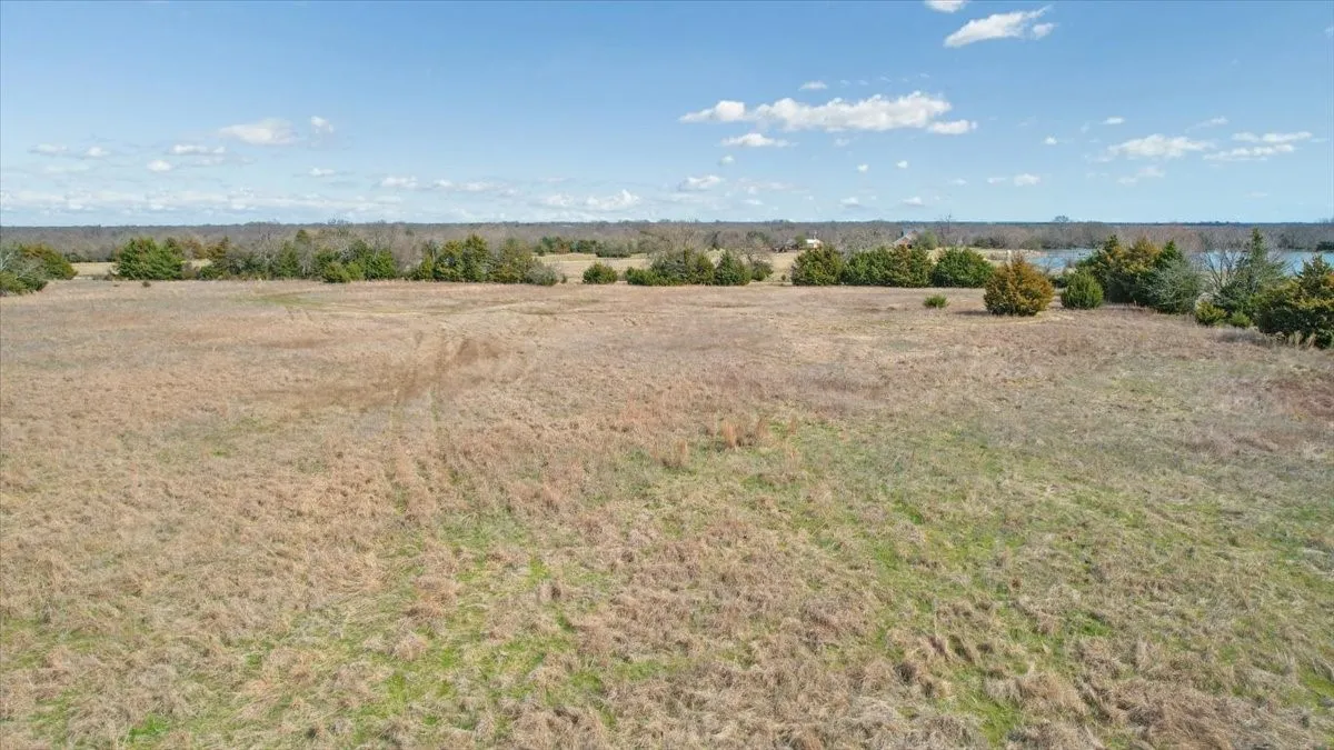 Expansive open field with natural vegetation, bordered by a line of mature trees
