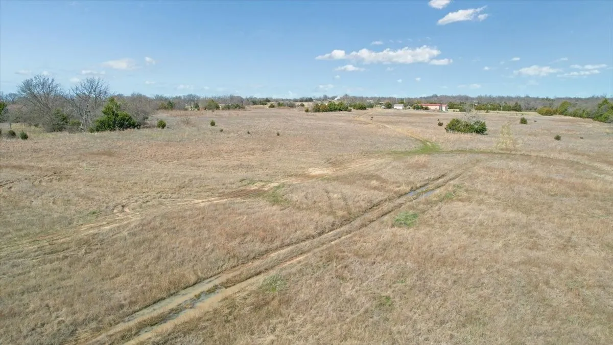 Expansive open land with natural grasses, scattered trees, and clear blue skies