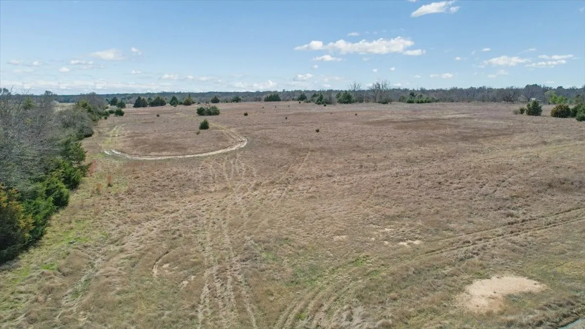 Expansive open land with natural ground cover, bordered by mature trees