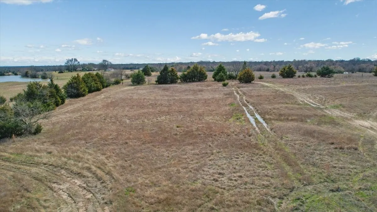 Expansive open land with varied topography, featuring scattered evergreen trees and a visible body of water in the distance