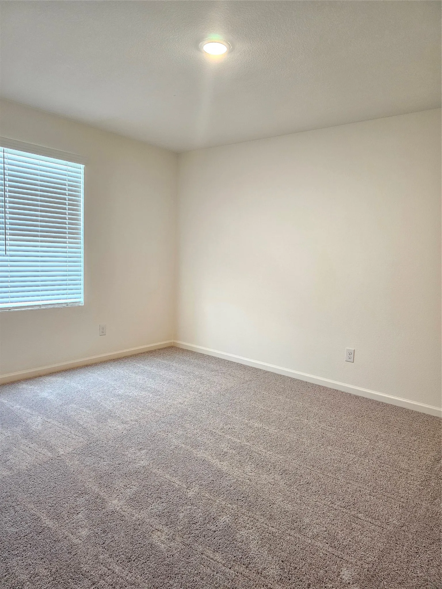 Single Family Residence For Rent in Collin County , 311 Pennsylvania Avenue, Princeton, Texas 75407, 4 Bedroom, 3 Bathroom, 2 Garage spaces, 2,258 Sqft, built in 2023, mls#21402817, Real Estate Agent in Princeton, Homes For Rent in Collin county, Homes For Rent in Princeton, Realtor in Princeton Texas, Real Estate Brokerage Independent Realty Texas, Luminita Cordes Realtor