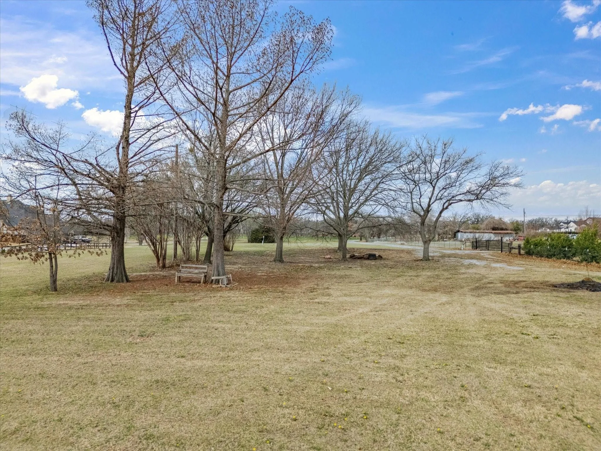 Expansive grassy area with mature deciduous trees