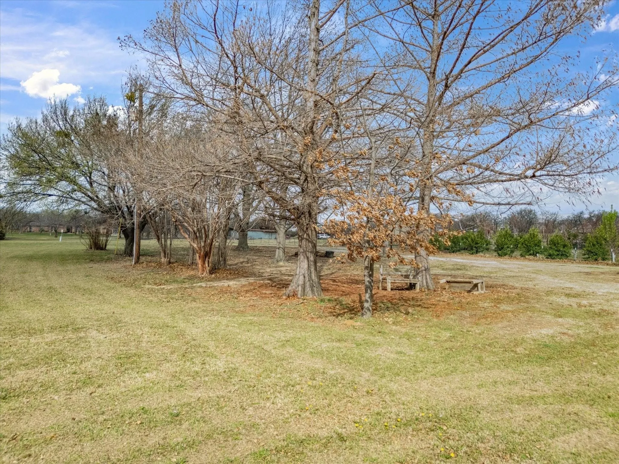 Expansive grounds with established trees and natural landscaping