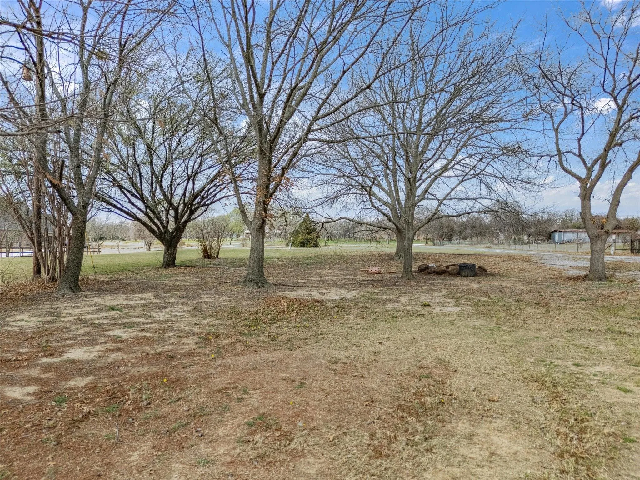 Expansive outdoor space featuring mature trees and a broad, open landscape
