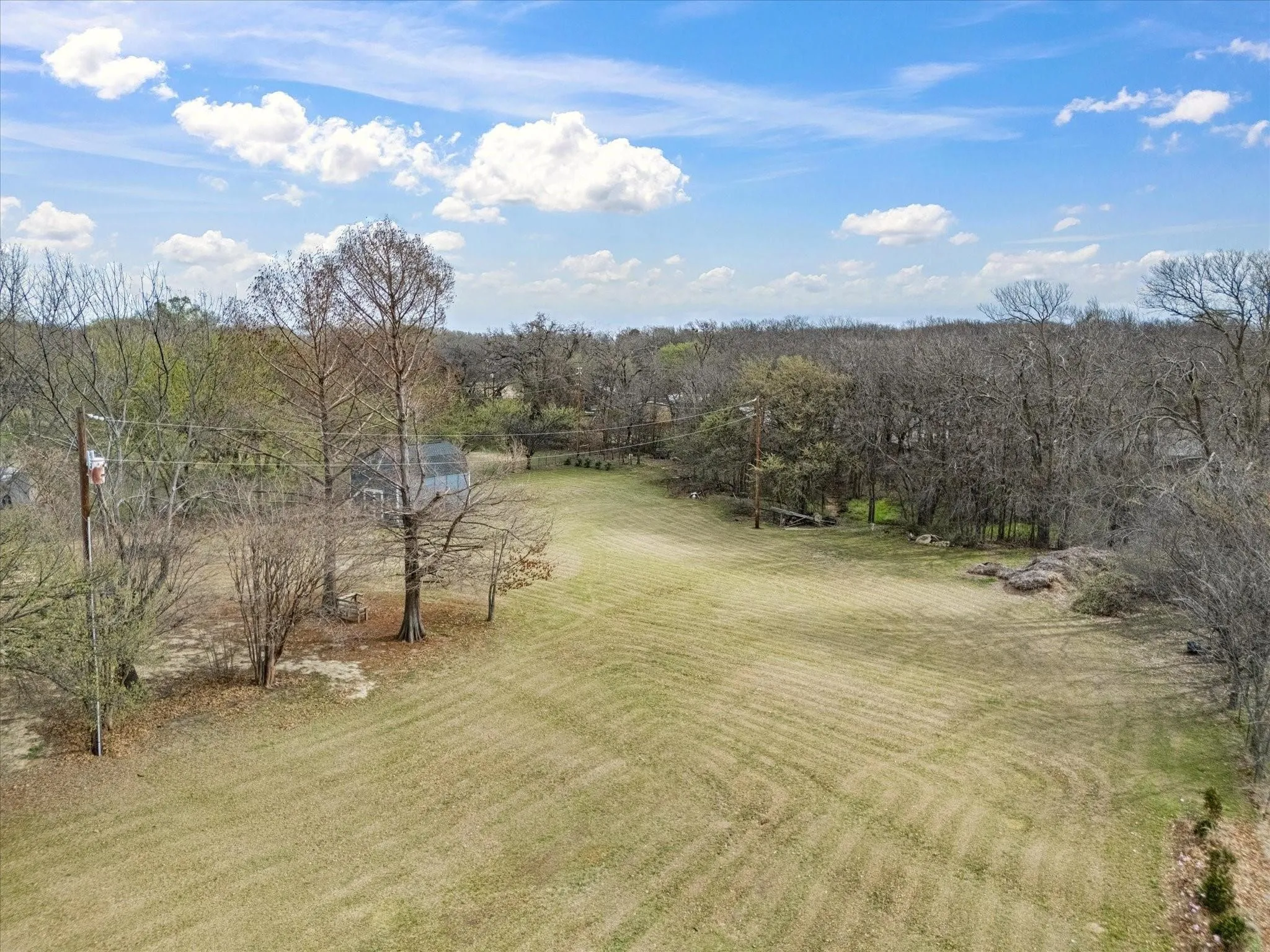Expansive open field with scattered trees and wooded borders