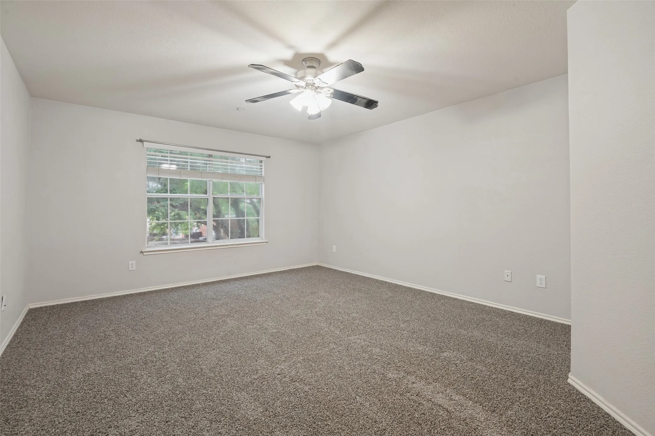 Neutral tone wall paint, textured carpet, ceiling fan with integrated lighting, and window with blinds