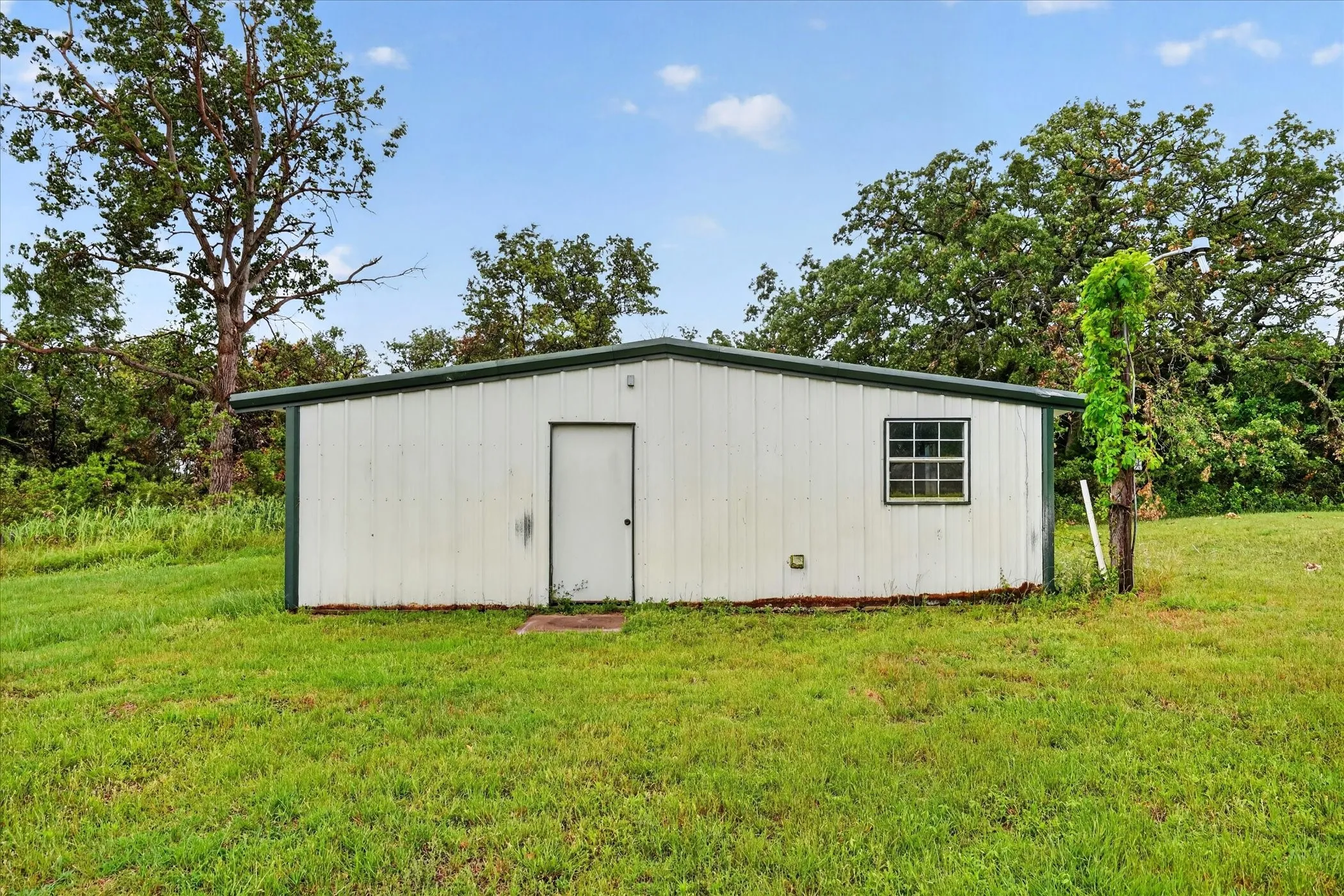 Metal utility building with a single entry door and a grid-pane window