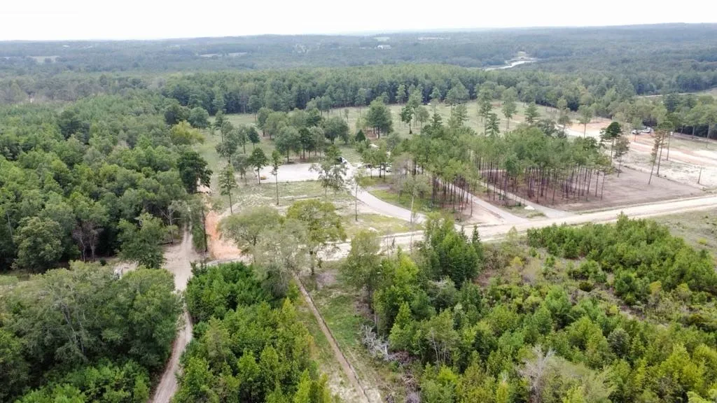 Unimproved Land For Sale in Smith County , 14392 E Hwy 31 E, Tyler, Texas 75705, 0, 0, Garage spaces, 0 Sqft, built in 0, mls#21402753, Real Estate Agent in Tyler, Homes For Sale in Smith county, Homes For Sale in Tyler, Realtor in Tyler Texas, Real Estate Brokerage Independent Realty Texas, Luminita Cordes Realtor