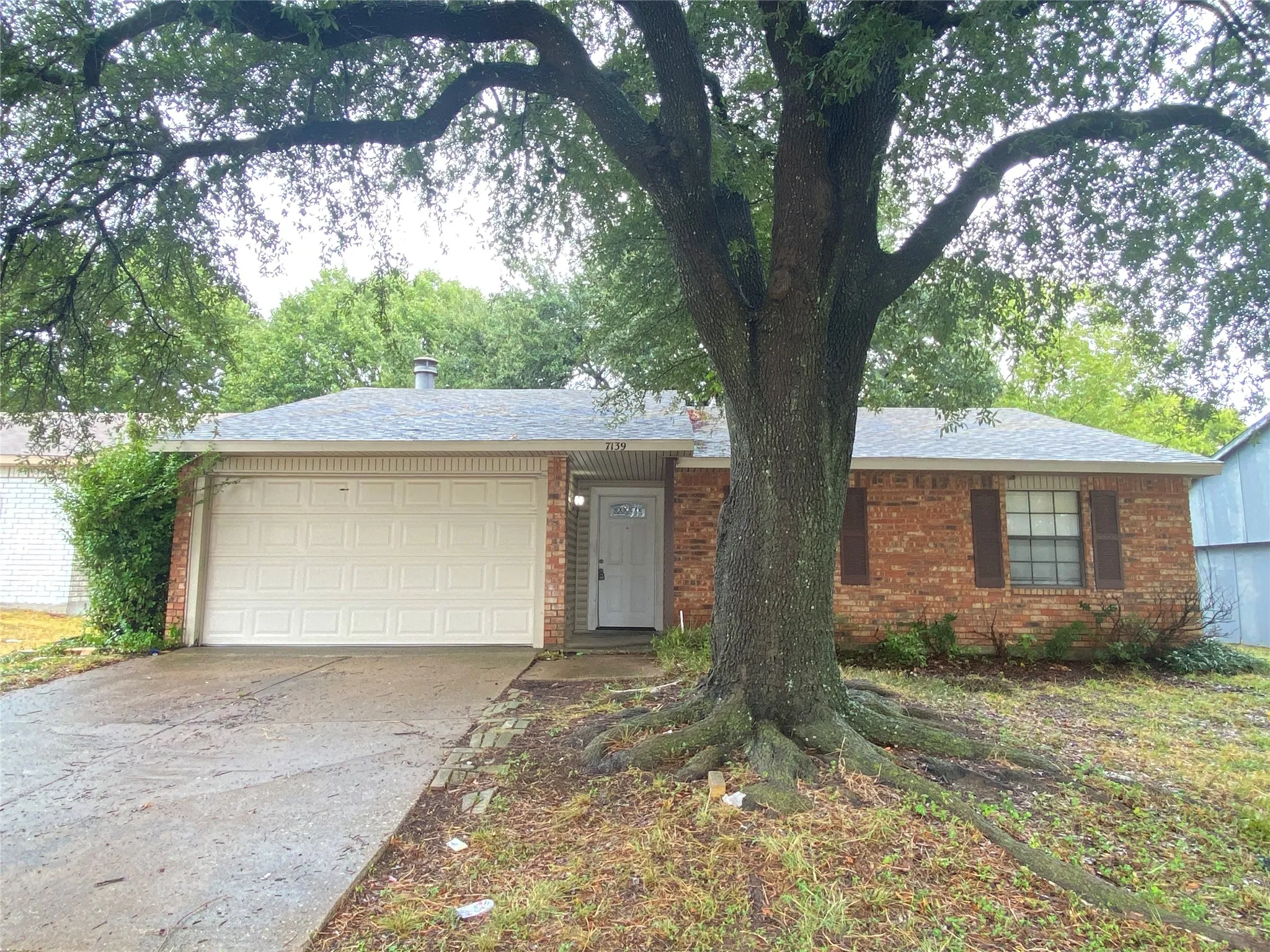 Single Family Residence For Rent in Dallas County , 7139 Nutmeg Lane, Dallas, Texas 75249, 3 Bedroom, 2 Bathroom, 1 Garage spaces, 1,319 Sqft, built in 1978, mls#21402301, Real Estate Agent in Dallas, Homes For Rent in Dallas county, Homes For Rent in Dallas, Realtor in Dallas Texas, Real Estate Brokerage Independent Realty Texas, Luminita Cordes Realtor