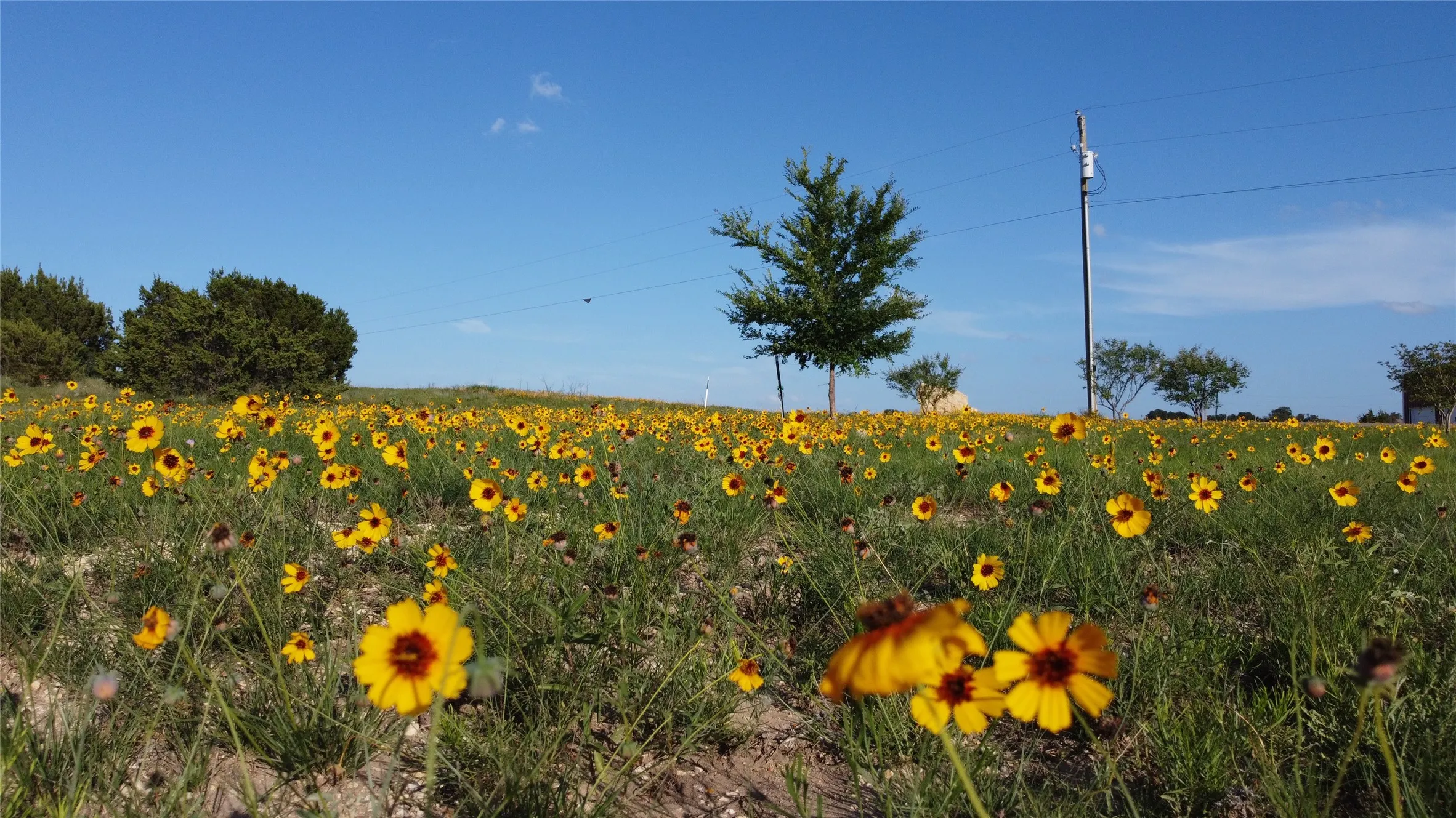front yard view