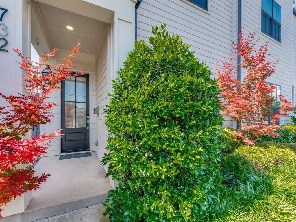 Exterior entrance featuring a black paneled door with window panes, white horizontal siding, a recessed entryway light, and landscaped plantings with red-leafed trees