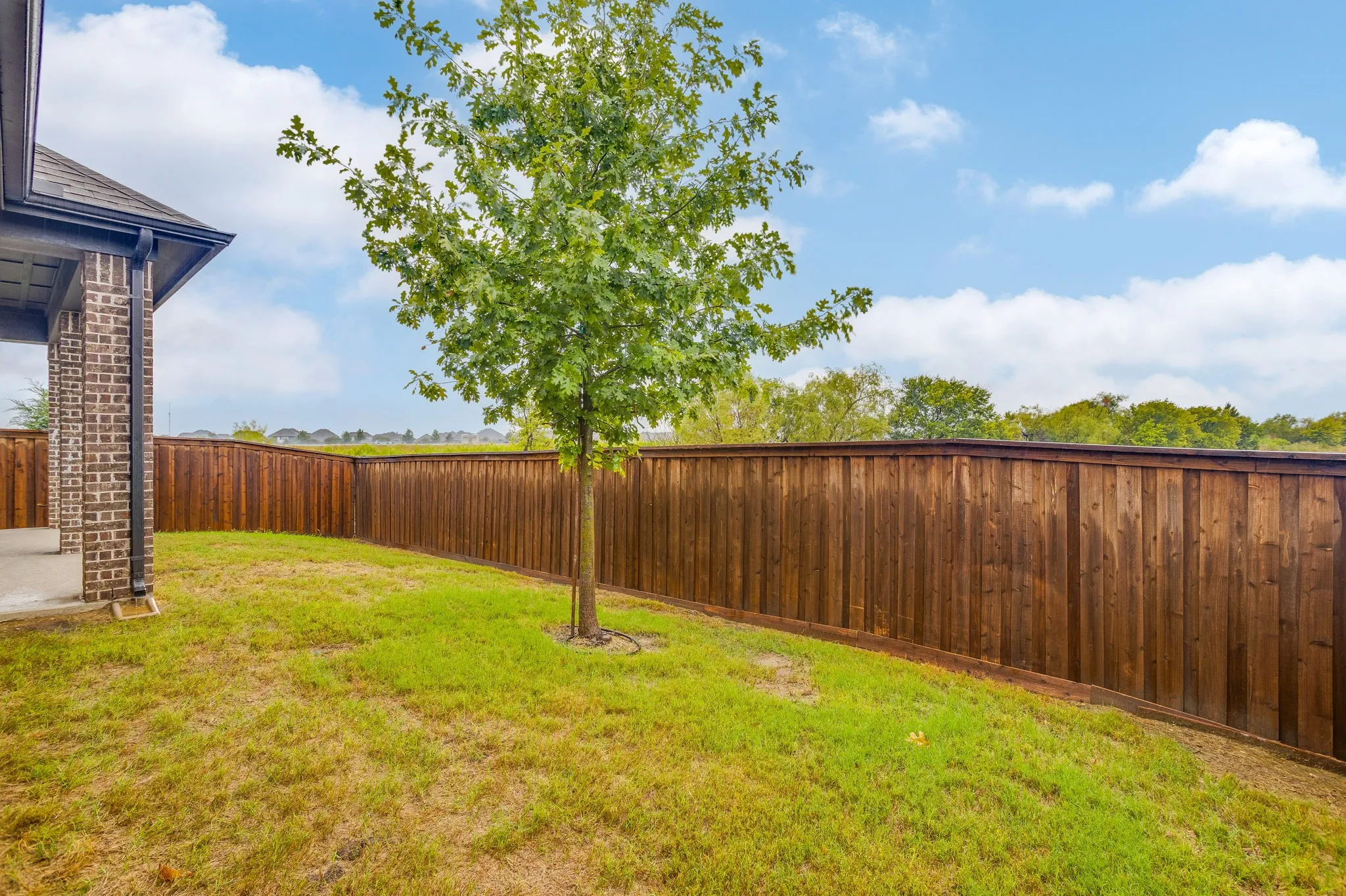 Single Family Residence For Sale in Johnson County , 1919 Birch Street, Mansfield, Texas 76063, 3 Bedroom, 2 Bathroom, 2 Garage spaces, 2,332 Sqft, built in 2023, mls#21402767, Real Estate Agent in Mansfield, Homes For Sale in Johnson county, Homes For Sale in Mansfield, Realtor in Mansfield Texas, Real Estate Brokerage Independent Realty Texas, Luminita Cordes Realtor