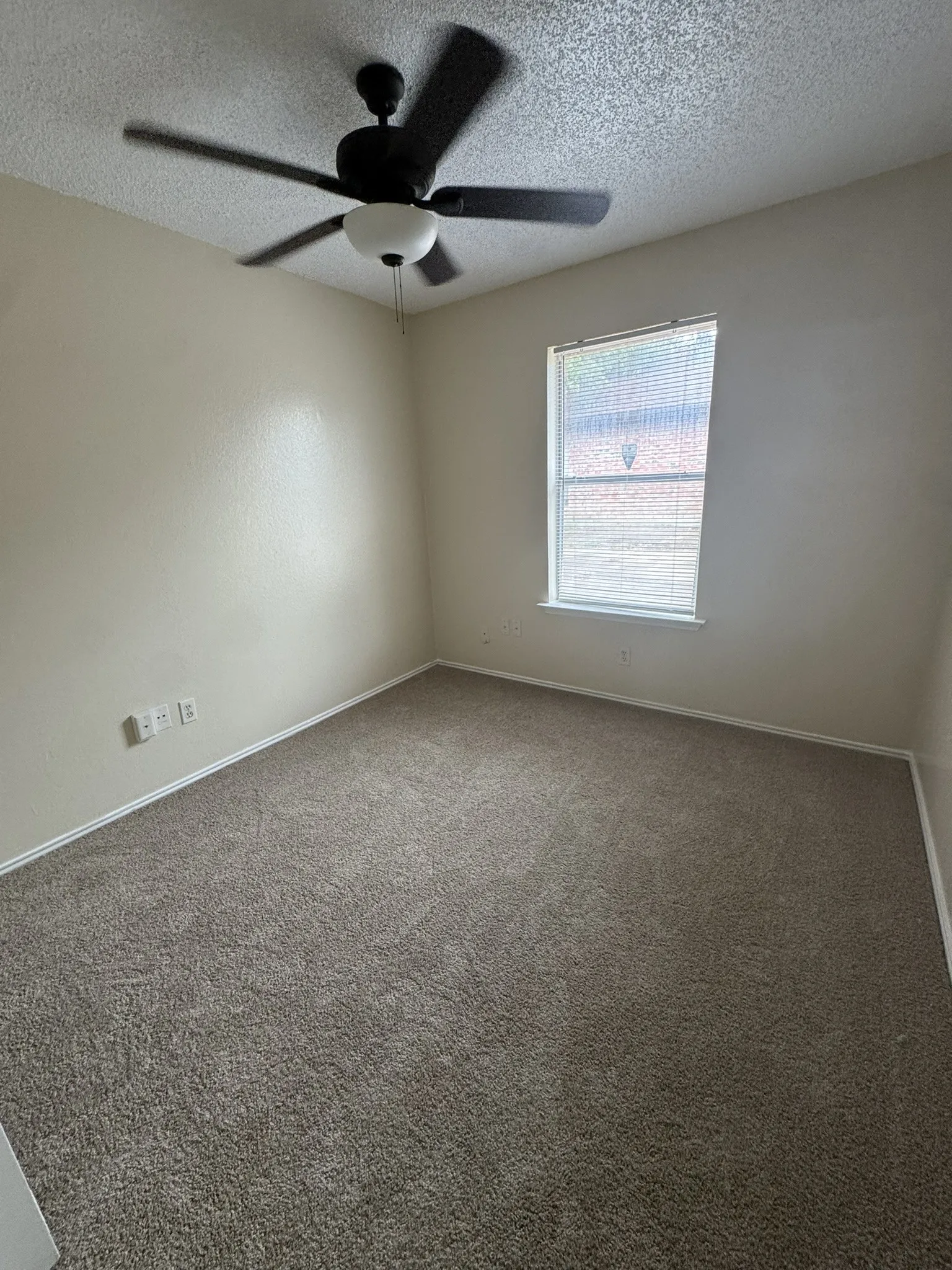 Carpeted room featuring a ceiling fan with light, a window with blinds, and neutral wall tones