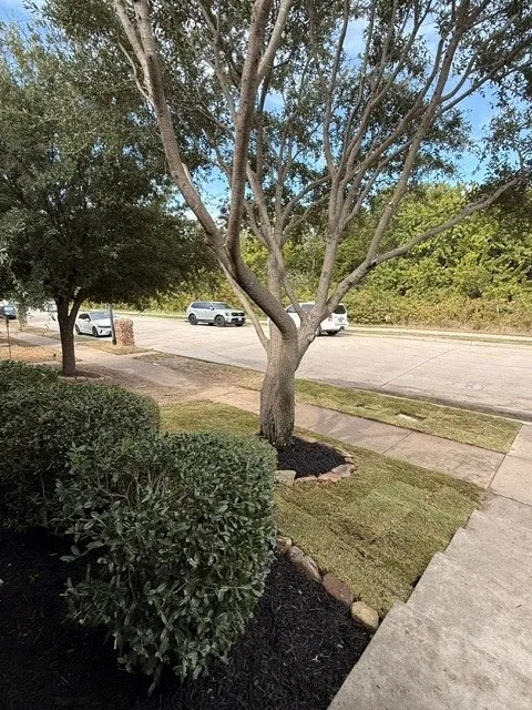 Duplex For Rent in Collin County , 2245 Colby Lane, Wylie, Texas 75098, 3 Bedroom, 2 Bathroom, 1 Garage spaces, 1,190 Sqft, built in 2013, mls#21402883, Real Estate Agent in Wylie, Homes For Rent in Collin county, Homes For Rent in Wylie, Realtor in Wylie Texas, Real Estate Brokerage Independent Realty Texas, Luminita Cordes Realtor