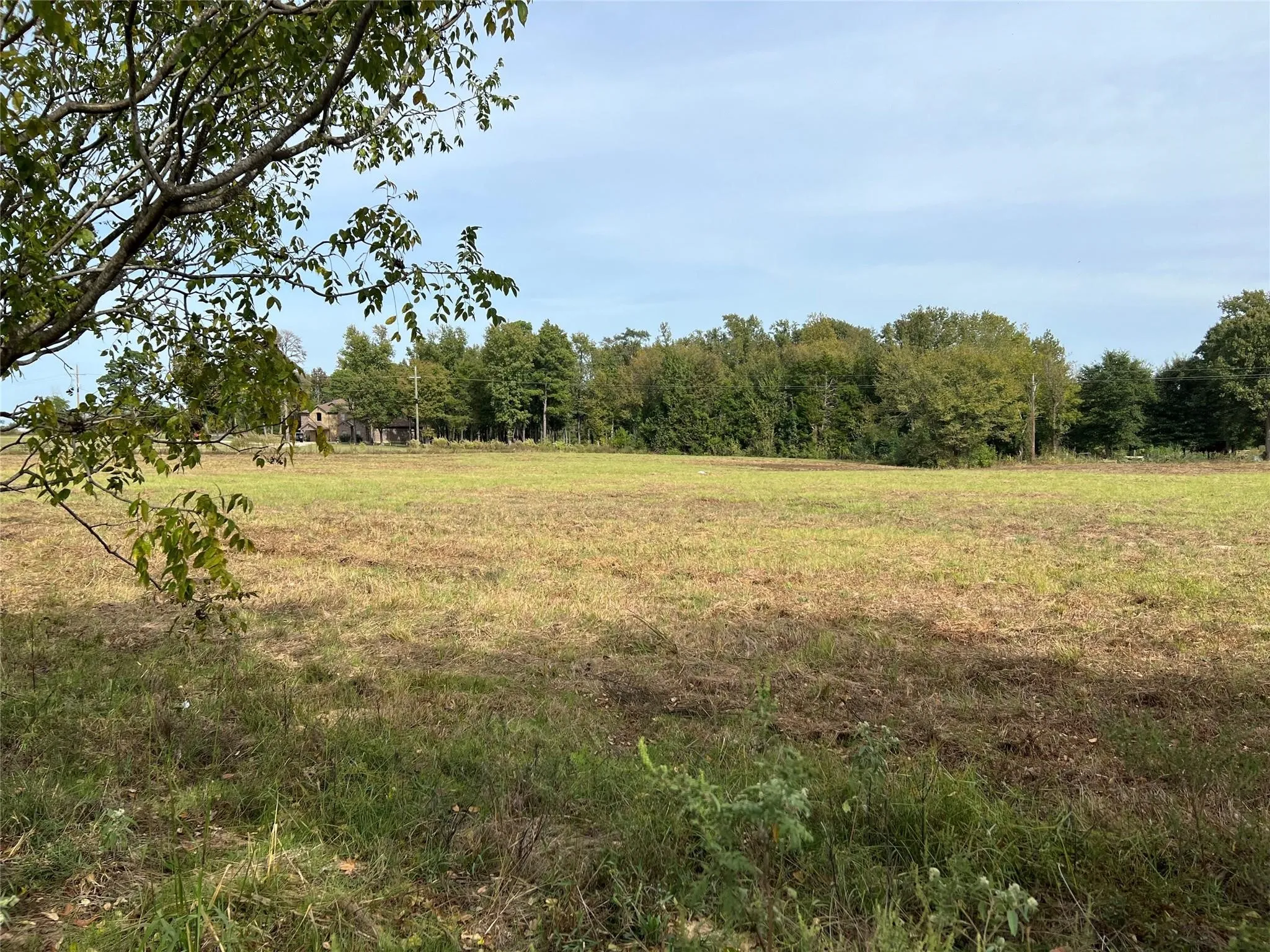 Unimproved Land For Sale in Camp County , 00 S Hwy 271, Pittsburg, Texas 75686, 0, 0, Garage spaces, 0 Sqft, built in 0, mls#21402554, Real Estate Agent in Pittsburg, Homes For Sale in Camp county, Homes For Sale in Pittsburg, Realtor in Pittsburg Texas, Real Estate Brokerage Independent Realty Texas, Luminita Cordes Realtor
