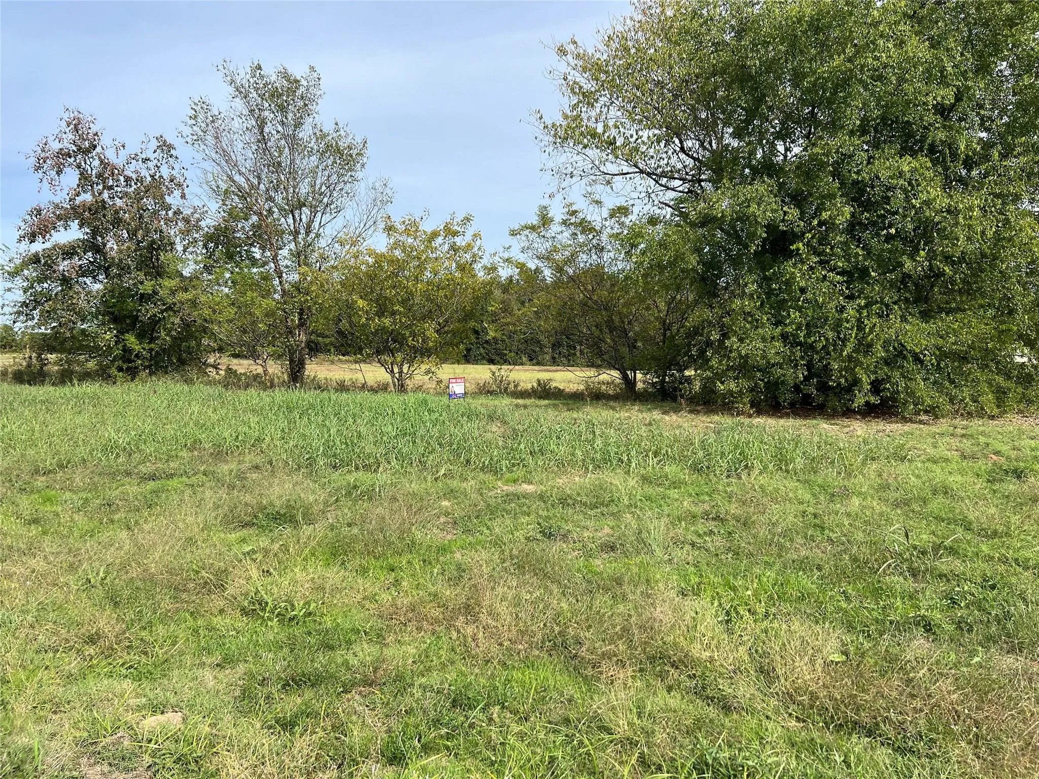 Unimproved Land For Sale in Camp County , 00 S Hwy 271, Pittsburg, Texas 75686, 0, 0, Garage spaces, 0 Sqft, built in 0, mls#21402554, Real Estate Agent in Pittsburg, Homes For Sale in Camp county, Homes For Sale in Pittsburg, Realtor in Pittsburg Texas, Real Estate Brokerage Independent Realty Texas, Luminita Cordes Realtor