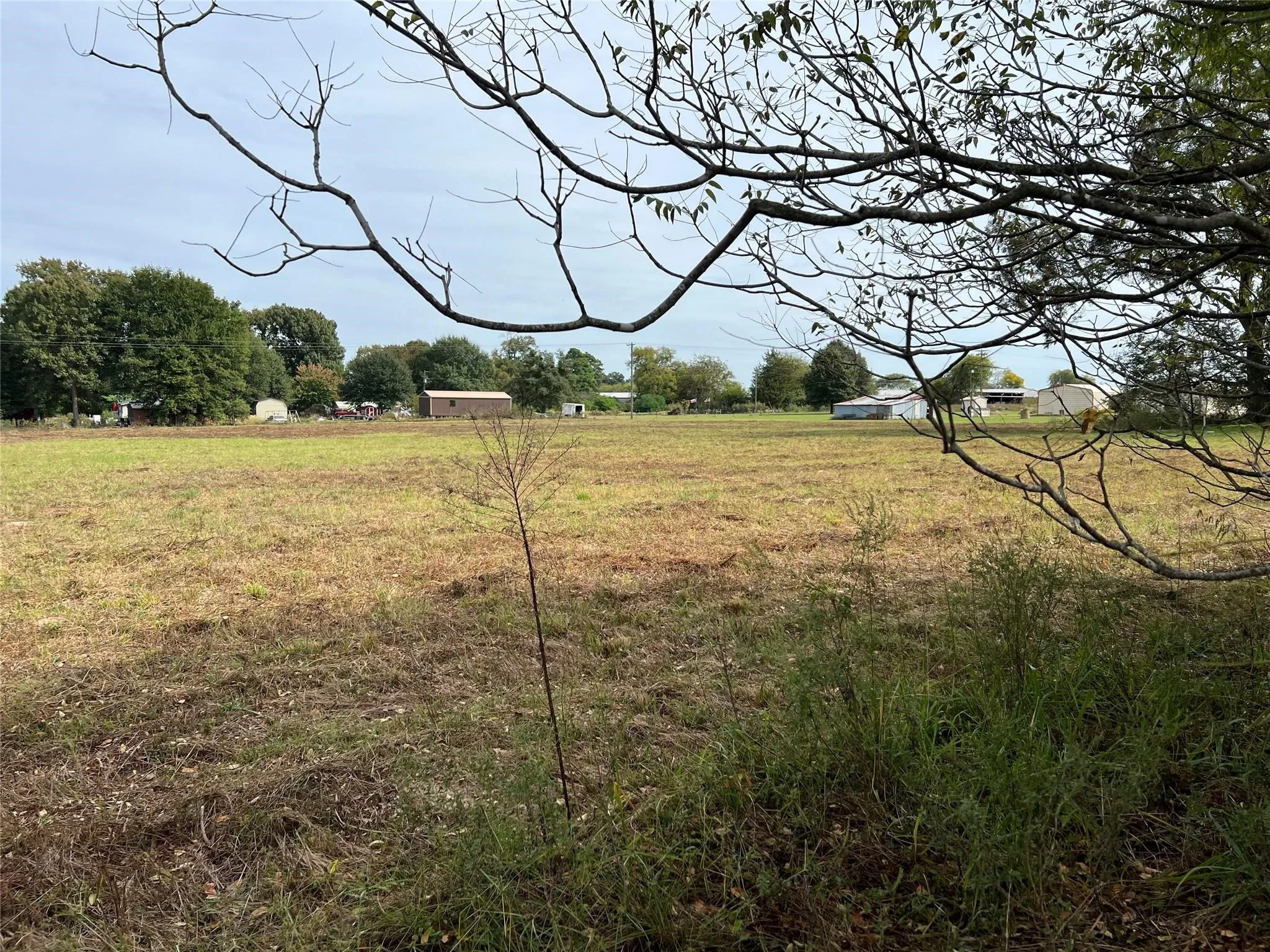 Unimproved Land For Sale in Camp County , 00 S Hwy 271, Pittsburg, Texas 75686, 0, 0, Garage spaces, 0 Sqft, built in 0, mls#21402554, Real Estate Agent in Pittsburg, Homes For Sale in Camp county, Homes For Sale in Pittsburg, Realtor in Pittsburg Texas, Real Estate Brokerage Independent Realty Texas, Luminita Cordes Realtor