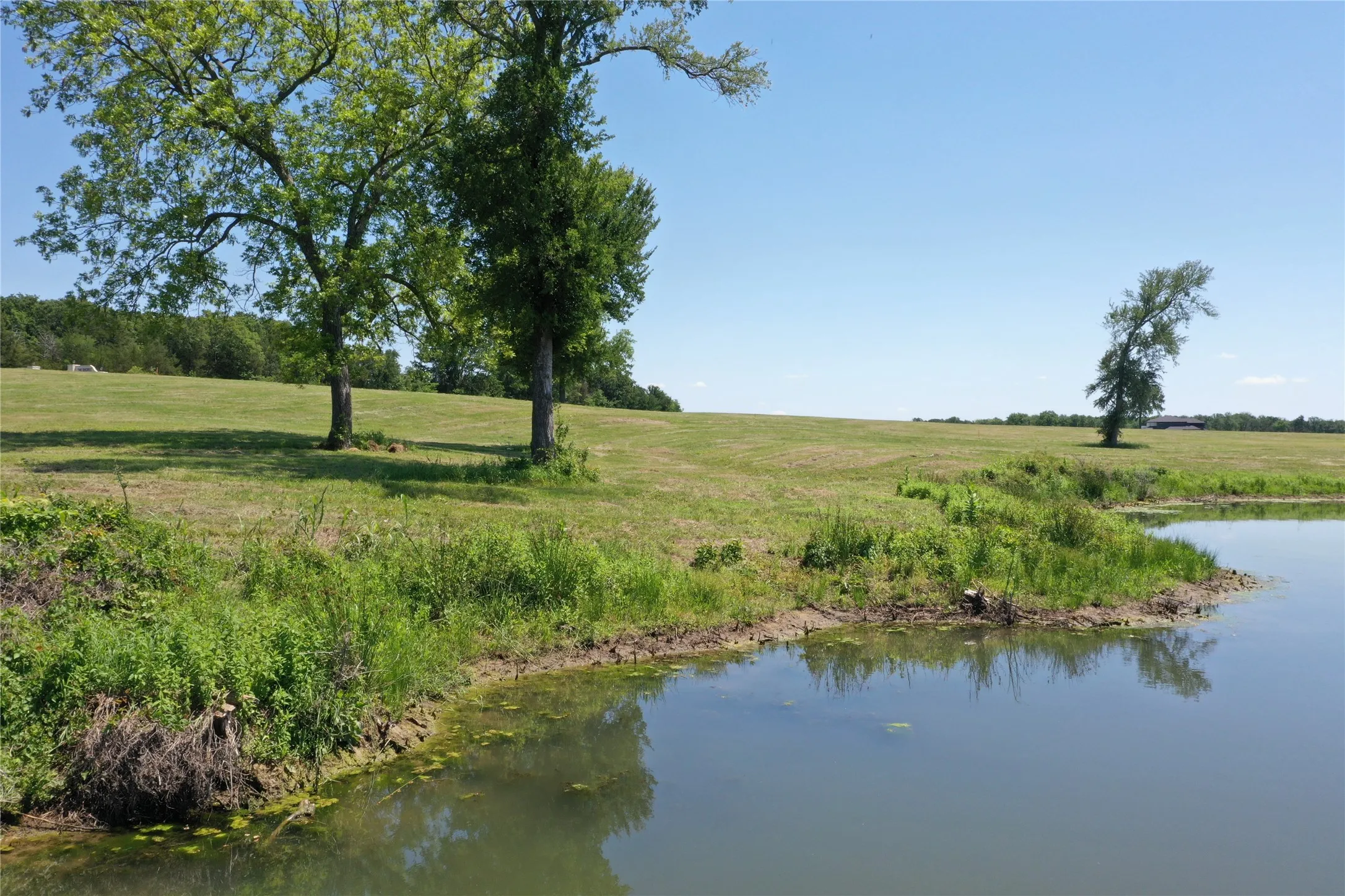 Backside of lot - gentle slope