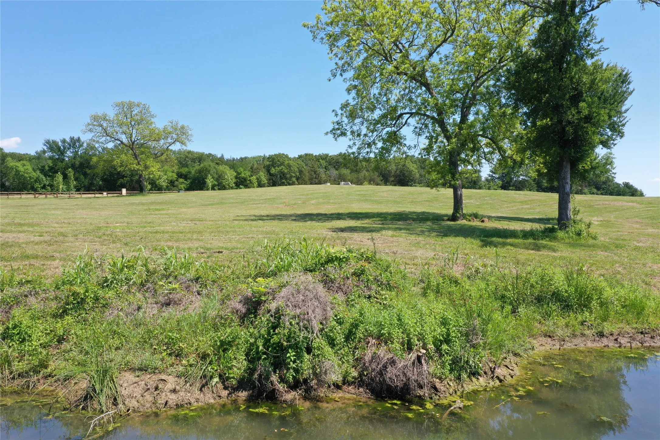 Backside of lot - gentle slope