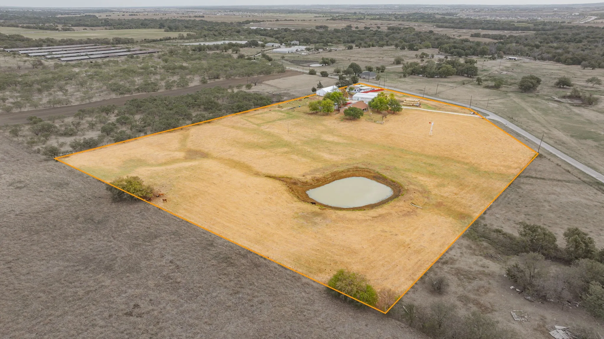 Large pond