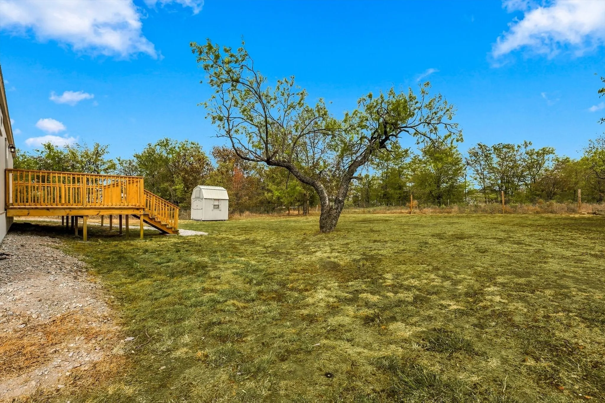 Expansive backyard featuring a natural grass lawn, mature tree, and a wooden deck with railing and stairs