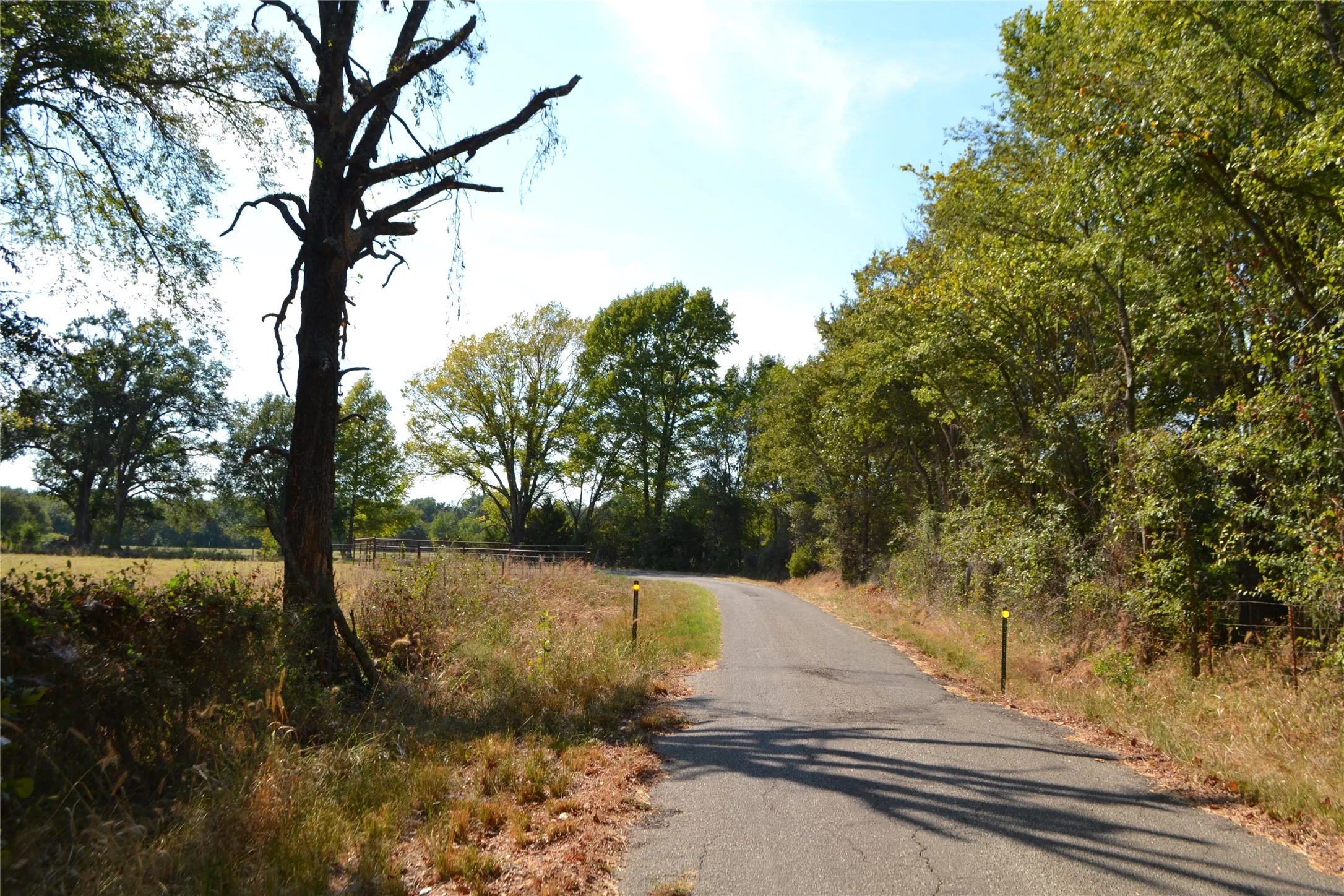 Unimproved Land For Sale in Rains County , Lot 6 County Road 3410, Brashear, Texas 75420, 0, 0, Garage spaces, 0 Sqft, built in 0, mls#21402957, Real Estate Agent in Brashear, Homes For Sale in Rains county, Homes For Sale in Brashear, Realtor in Brashear Texas, Real Estate Brokerage Independent Realty Texas, Luminita Cordes Realtor