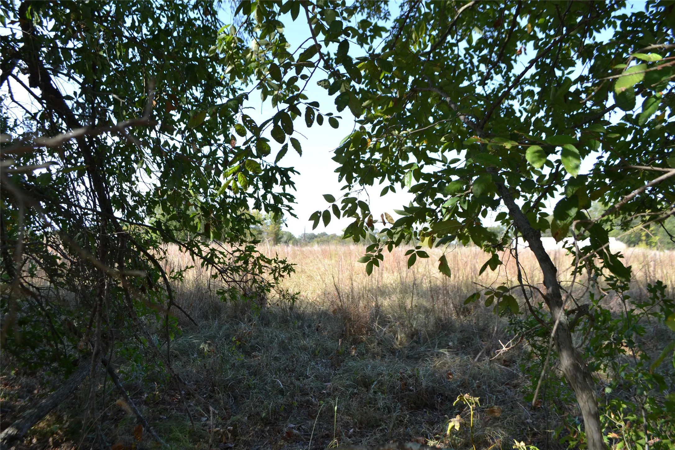 Unimproved Land For Sale in Rains County , Lot 6 County Road 3410, Brashear, Texas 75420, 0, 0, Garage spaces, 0 Sqft, built in 0, mls#21402957, Real Estate Agent in Brashear, Homes For Sale in Rains county, Homes For Sale in Brashear, Realtor in Brashear Texas, Real Estate Brokerage Independent Realty Texas, Luminita Cordes Realtor