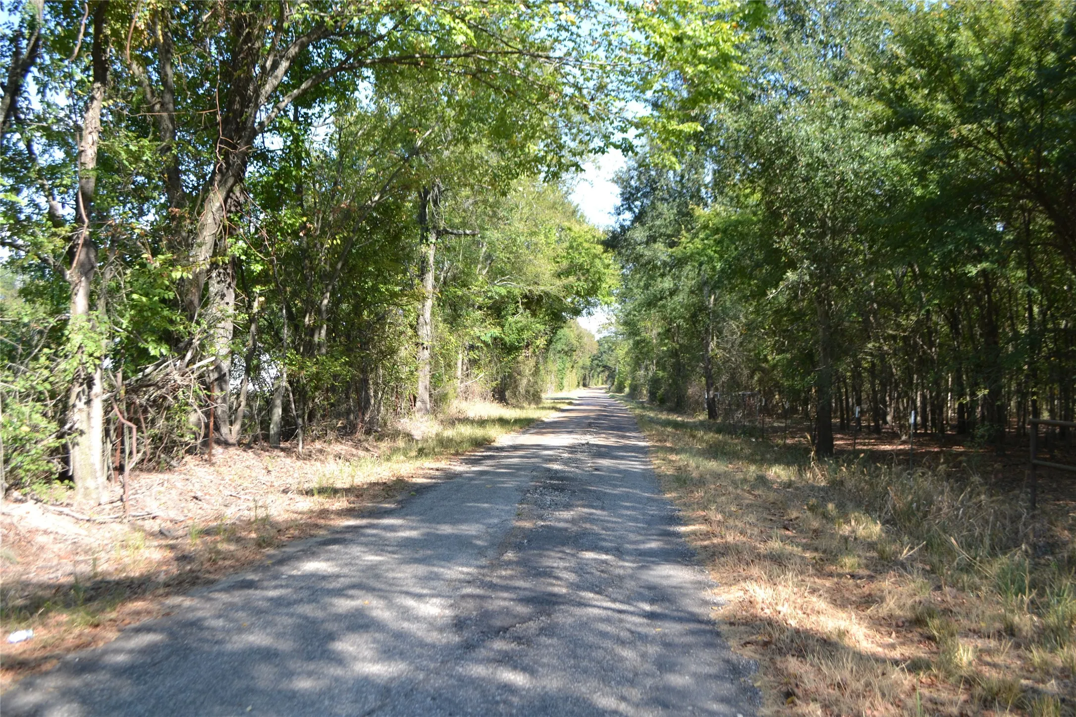 Unimproved Land For Sale in Rains County , Lot 6 County Road 3410, Brashear, Texas 75420, 0, 0, Garage spaces, 0 Sqft, built in 0, mls#21402957, Real Estate Agent in Brashear, Homes For Sale in Rains county, Homes For Sale in Brashear, Realtor in Brashear Texas, Real Estate Brokerage Independent Realty Texas, Luminita Cordes Realtor