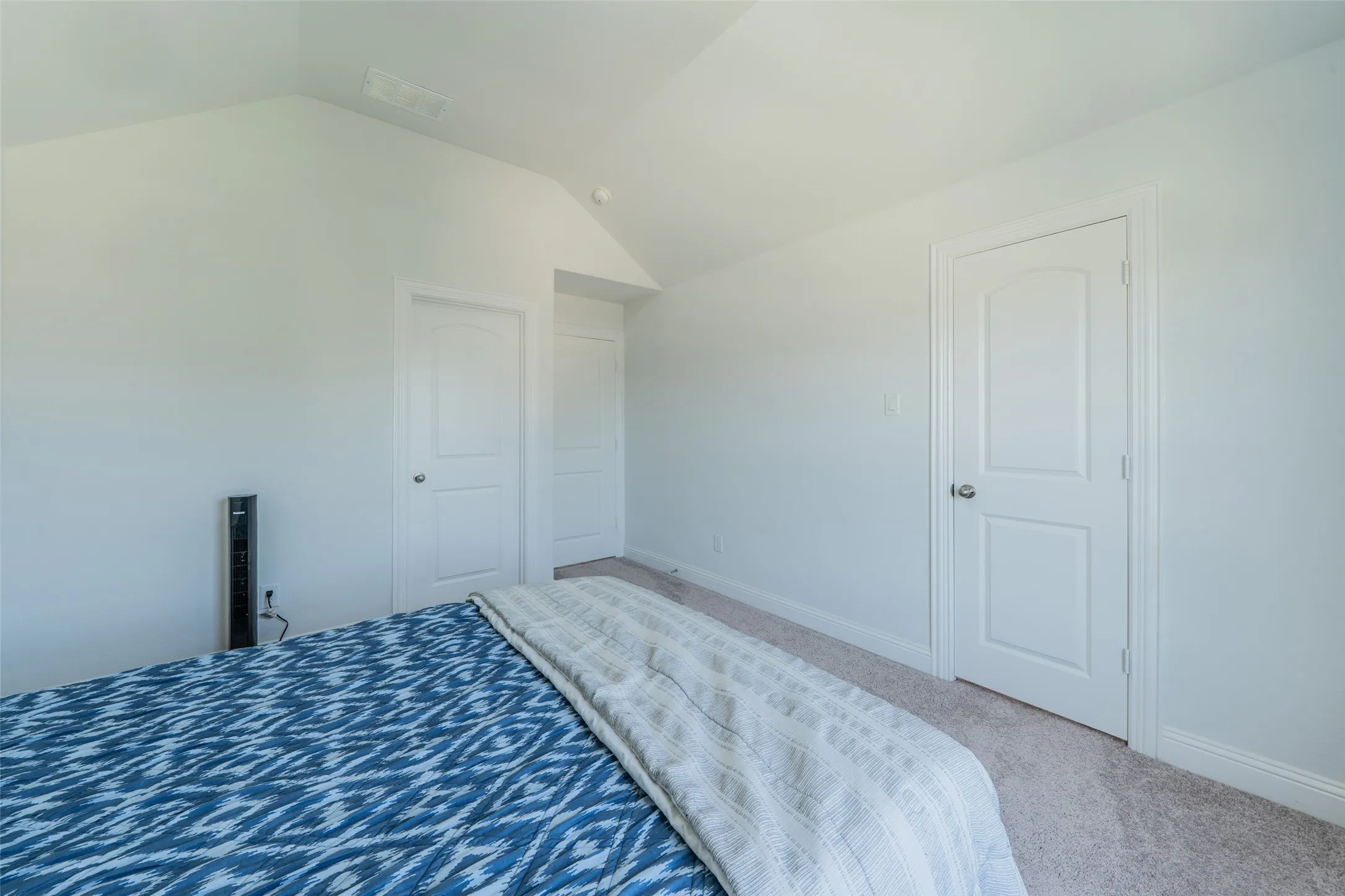 Vaulted ceiling with a flush-mount light fixture, white interior doors, and carpet flooring