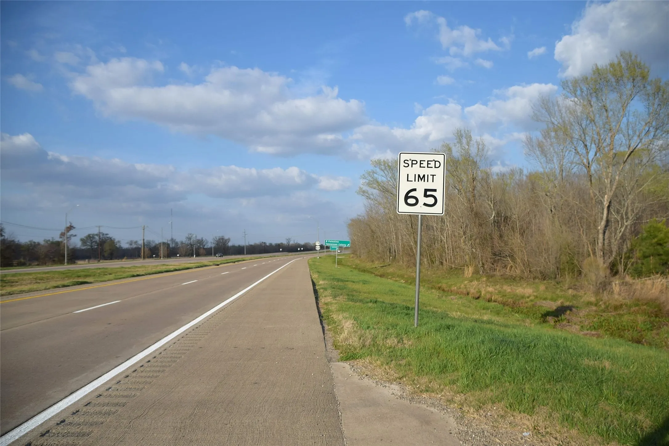 Unimproved Land For Sale in Anderson County , 9781 S US Hwy 79 Highway, Palestine, Texas 75801, 0, 0, Garage spaces, 0 Sqft, built in 0, mls#21402985, Real Estate Agent in Palestine, Homes For Sale in Anderson county, Homes For Sale in Palestine, Realtor in Palestine Texas, Real Estate Brokerage Independent Realty Texas, Luminita Cordes Realtor