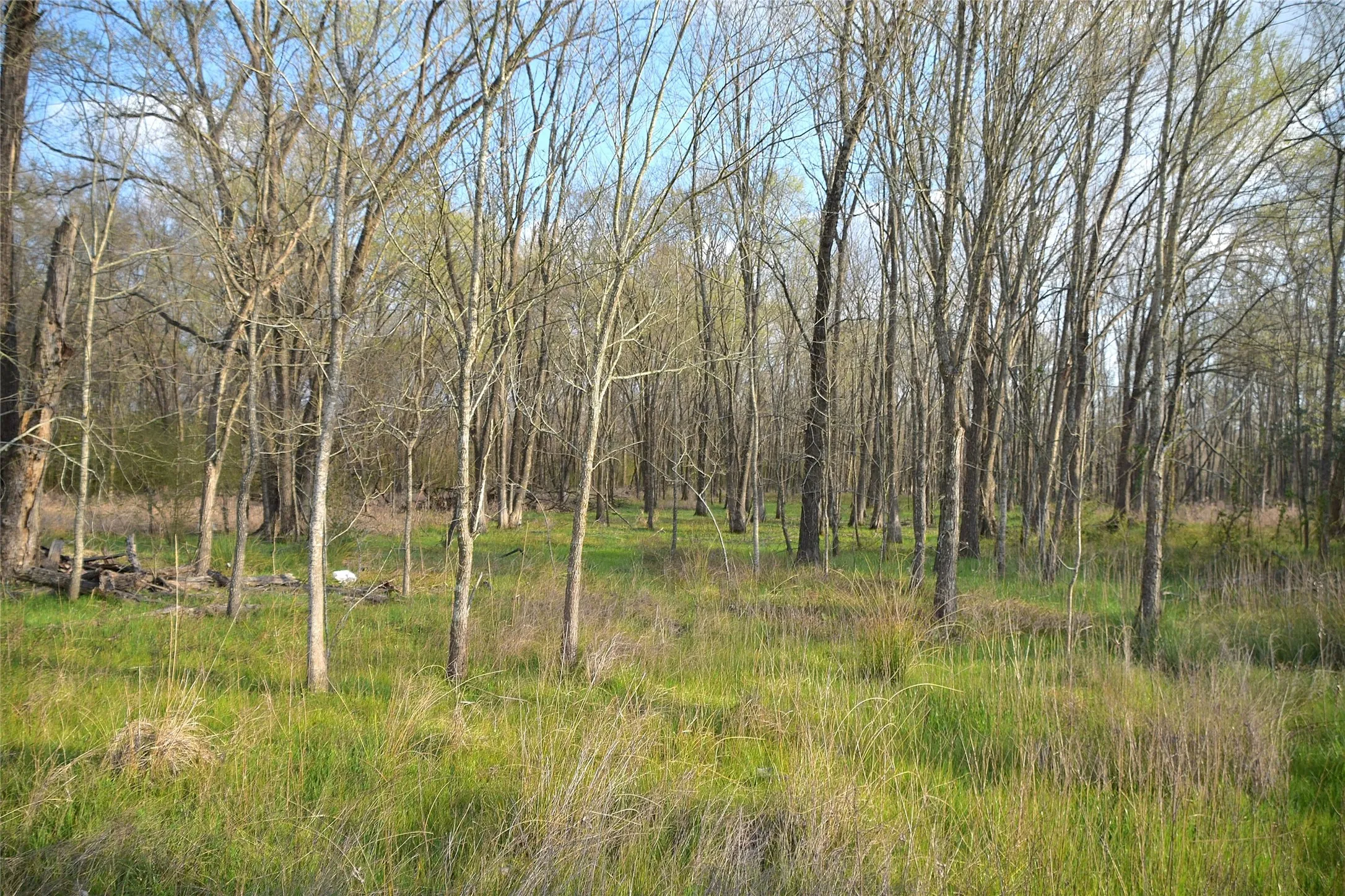 Unimproved Land For Sale in Anderson County , 9781 S US Hwy 79 Highway, Palestine, Texas 75801, 0, 0, Garage spaces, 0 Sqft, built in 0, mls#21402985, Real Estate Agent in Palestine, Homes For Sale in Anderson county, Homes For Sale in Palestine, Realtor in Palestine Texas, Real Estate Brokerage Independent Realty Texas, Luminita Cordes Realtor