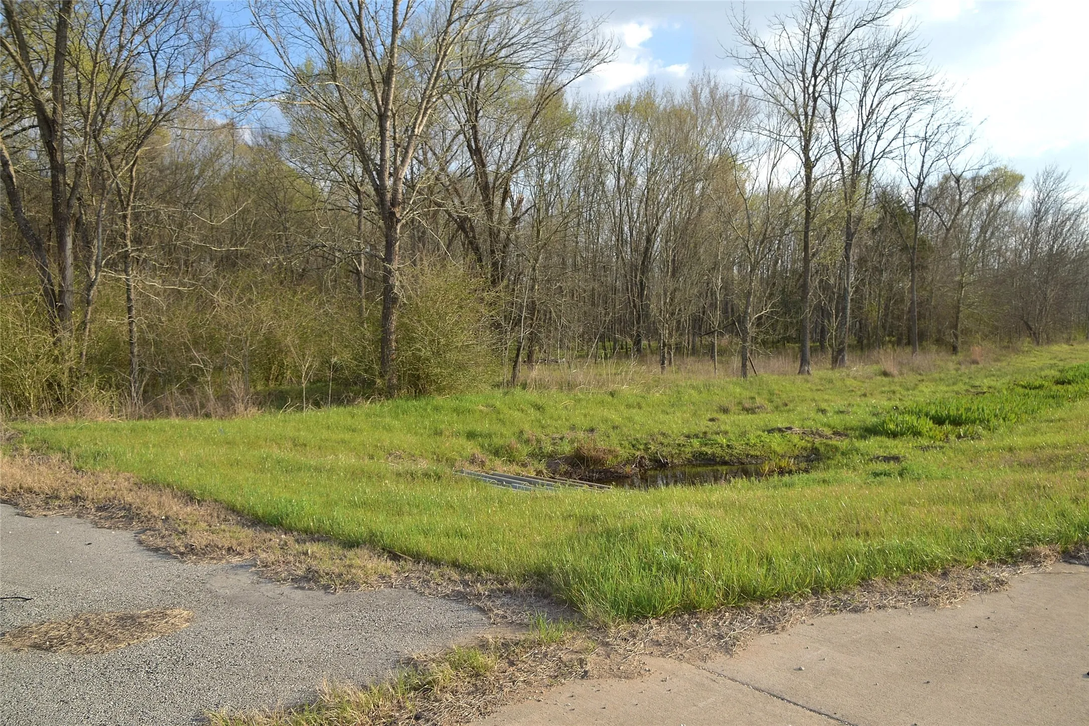 Unimproved Land For Sale in Anderson County , 9781 S US Hwy 79 Highway, Palestine, Texas 75801, 0, 0, Garage spaces, 0 Sqft, built in 0, mls#21402985, Real Estate Agent in Palestine, Homes For Sale in Anderson county, Homes For Sale in Palestine, Realtor in Palestine Texas, Real Estate Brokerage Independent Realty Texas, Luminita Cordes Realtor