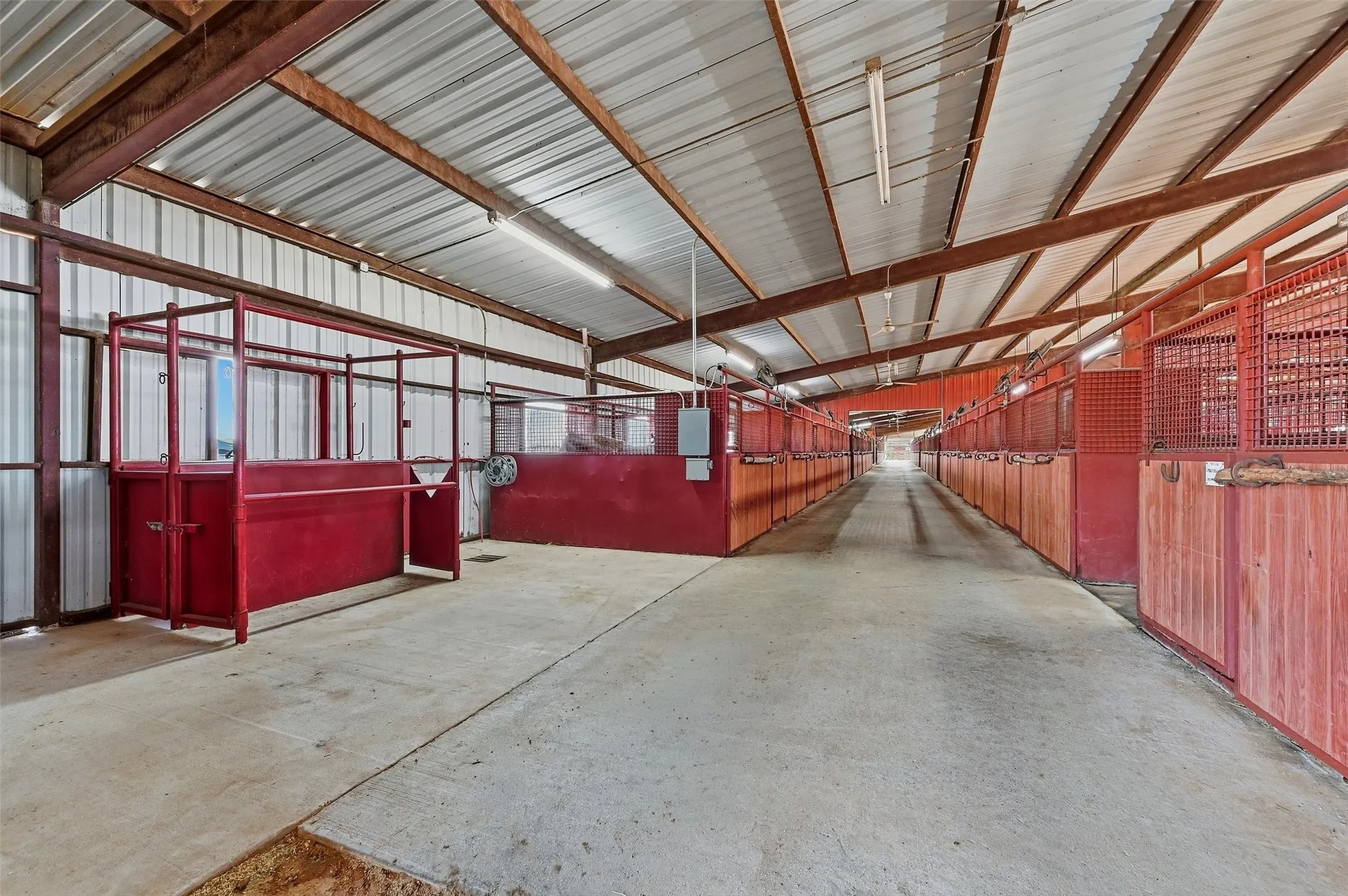 Vet stocks in covered arena.