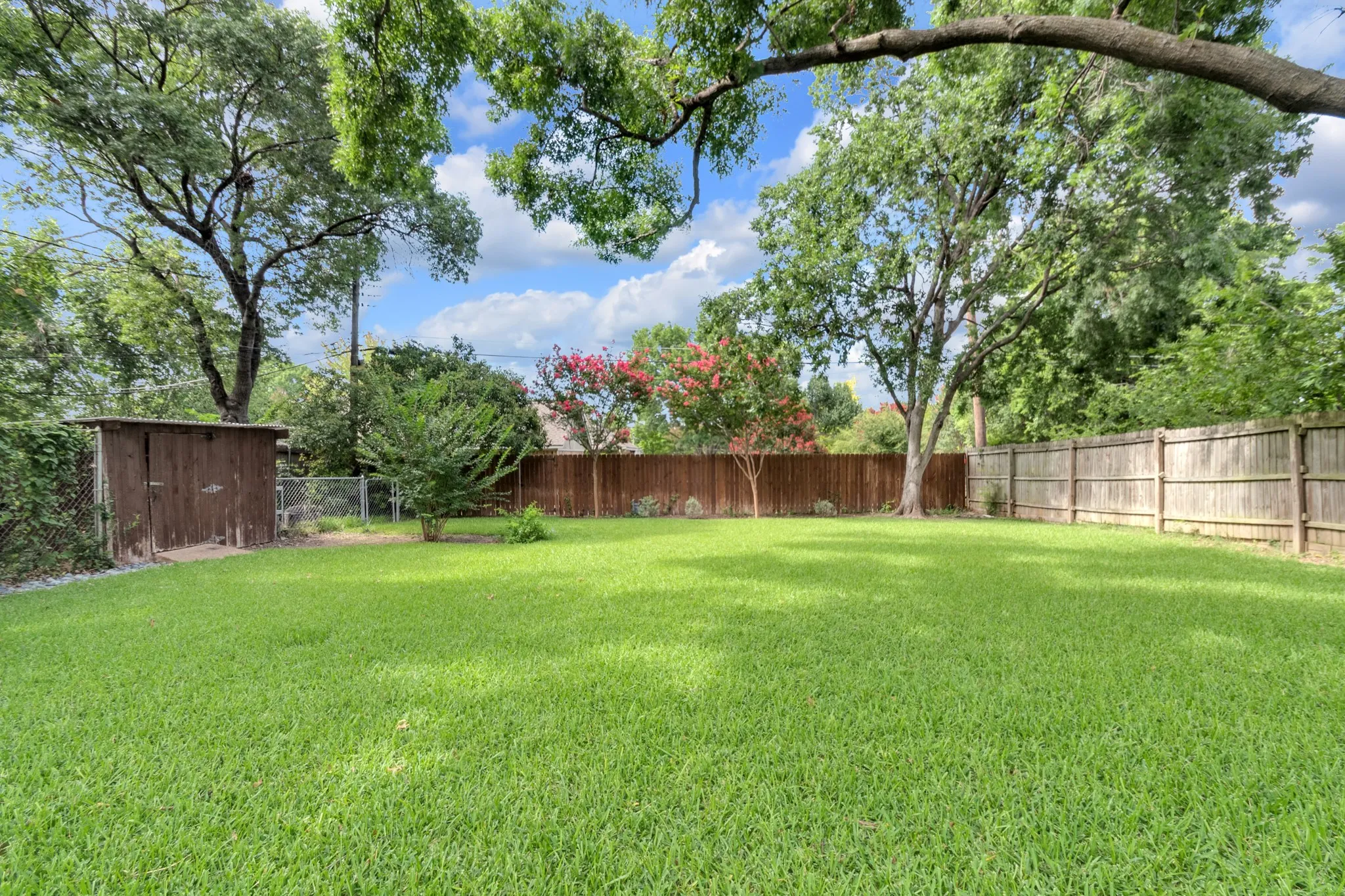 Expansive grassy yard area featuring mature trees and a wood storage shed