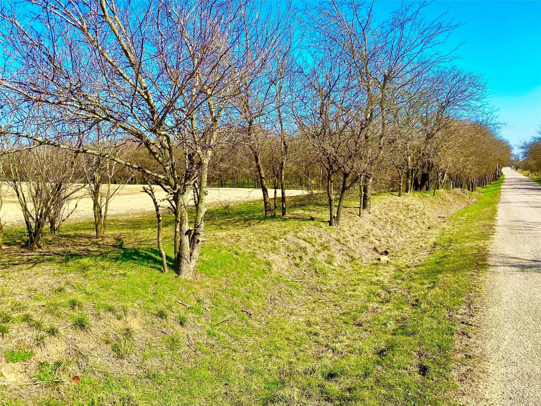 Unimproved Land For Sale in Johnson County , 9507 County Road 513, Alvarado, Texas 76009, 0, 0, Garage spaces, 0 Sqft, built in 0, mls#21400573, Real Estate Agent in Alvarado, Homes For Sale in Johnson county, Homes For Sale in Alvarado, Realtor in Alvarado Texas, Real Estate Brokerage Independent Realty Texas, Luminita Cordes Realtor