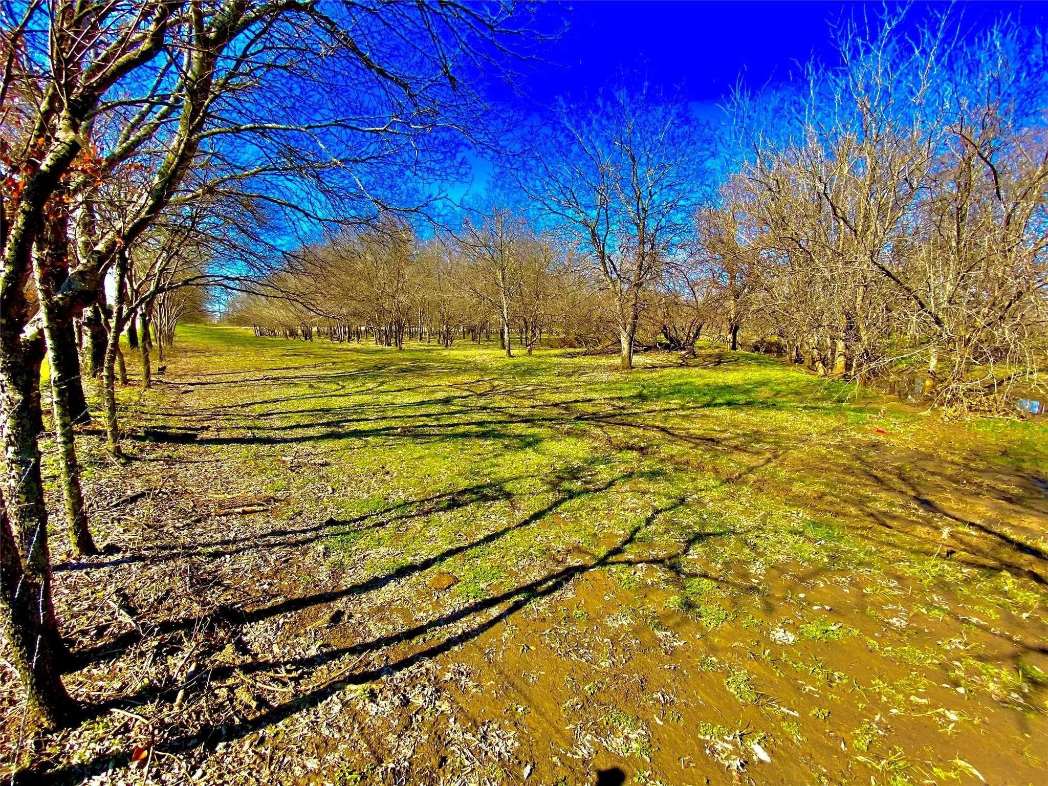 Unimproved Land For Sale in Johnson County , 9507 County Road 513, Alvarado, Texas 76009, 0, 0, Garage spaces, 0 Sqft, built in 0, mls#21400573, Real Estate Agent in Alvarado, Homes For Sale in Johnson county, Homes For Sale in Alvarado, Realtor in Alvarado Texas, Real Estate Brokerage Independent Realty Texas, Luminita Cordes Realtor