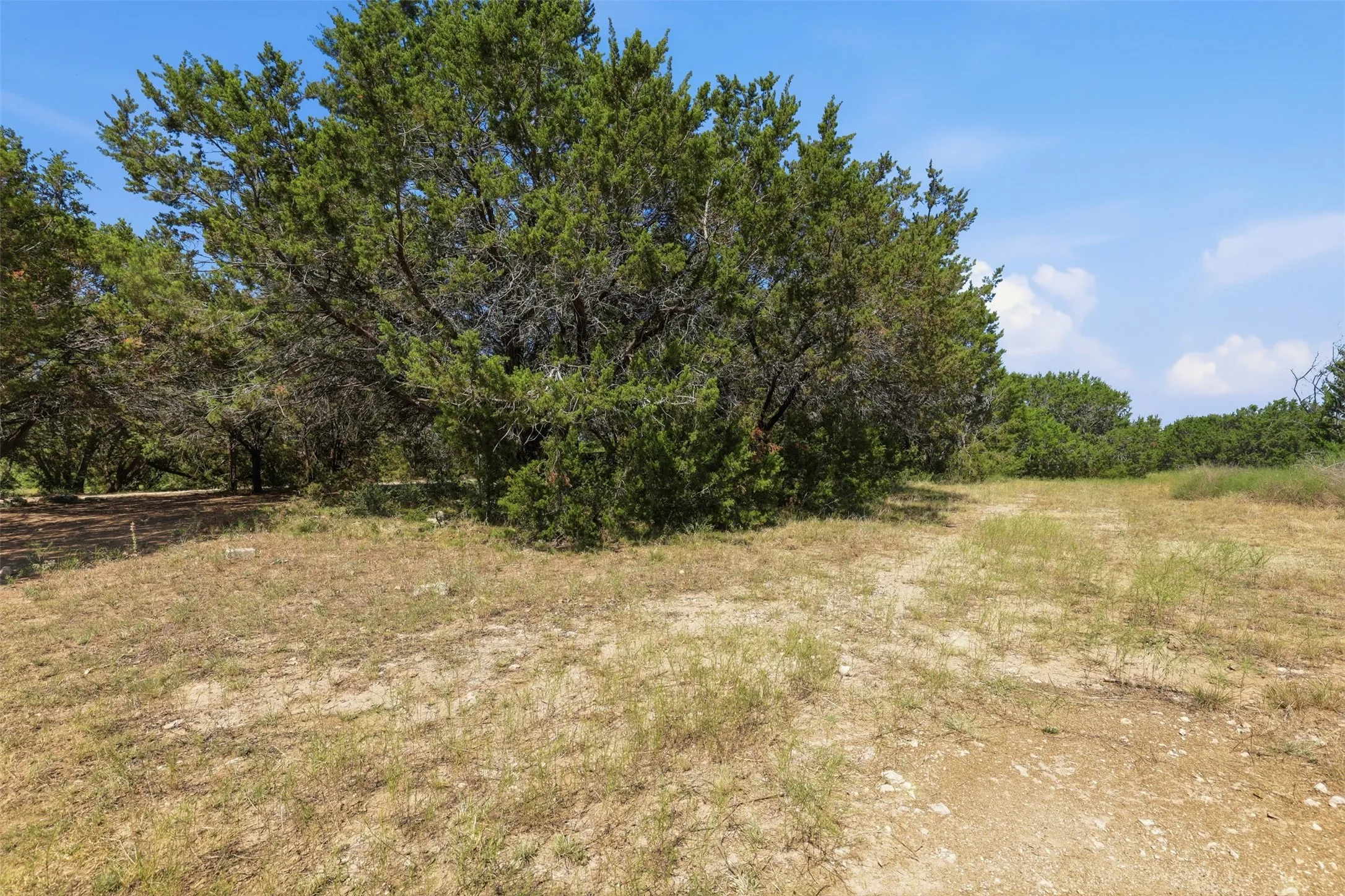 Manufactured Home For Rent in Johnson County , 9132 Windmill Court W, Cleburne, Texas 76033, 4 Bedroom, 2 Bathroom, Garage spaces, 1,568 Sqft, built in 2002, mls#21402997, Real Estate Agent in Cleburne, Homes For Rent in Johnson county, Homes For Rent in Cleburne, Realtor in Cleburne Texas, Real Estate Brokerage Independent Realty Texas, Luminita Cordes Realtor